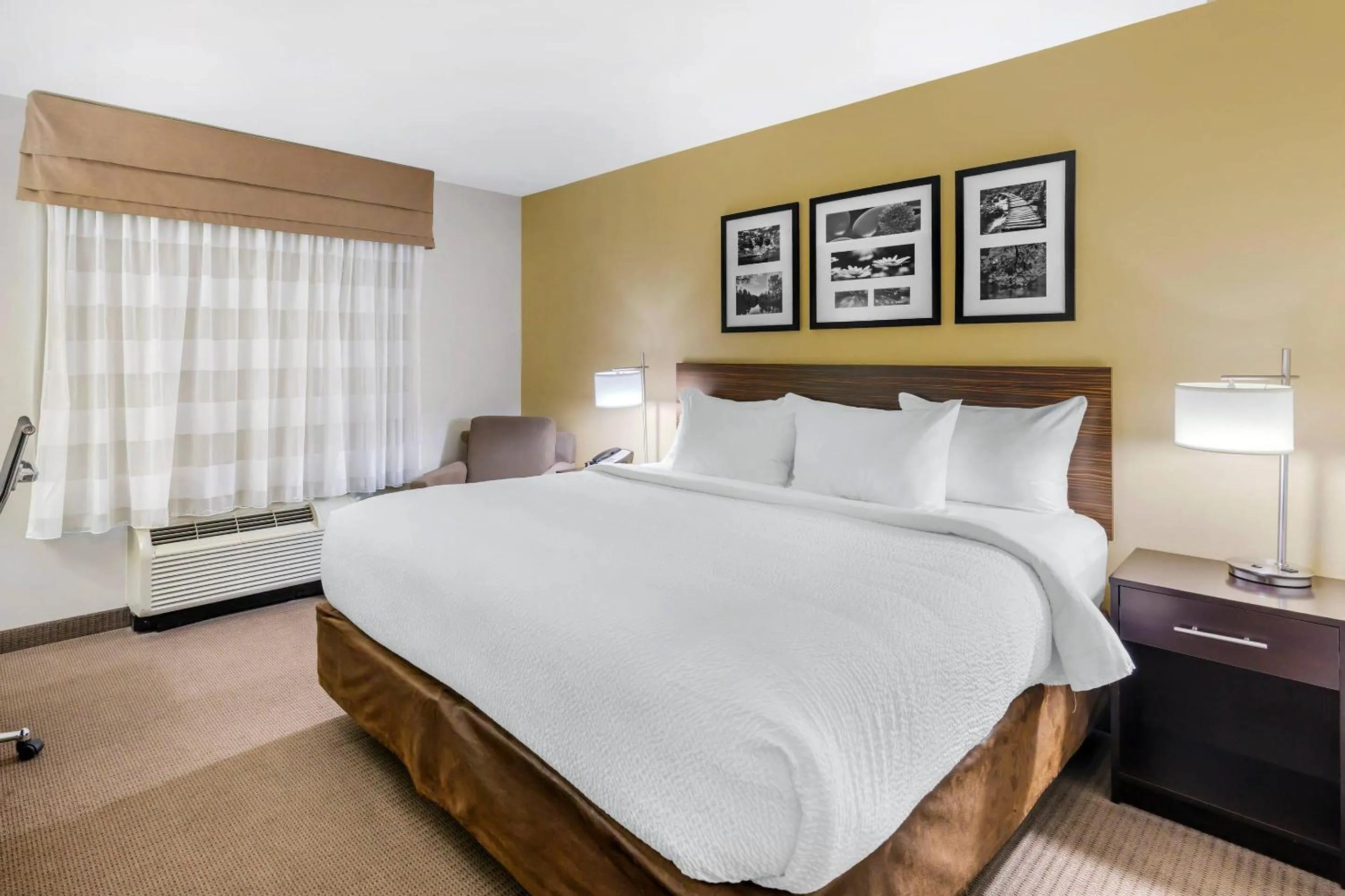 King Room in Sleep Inn & Suites Devils Lake