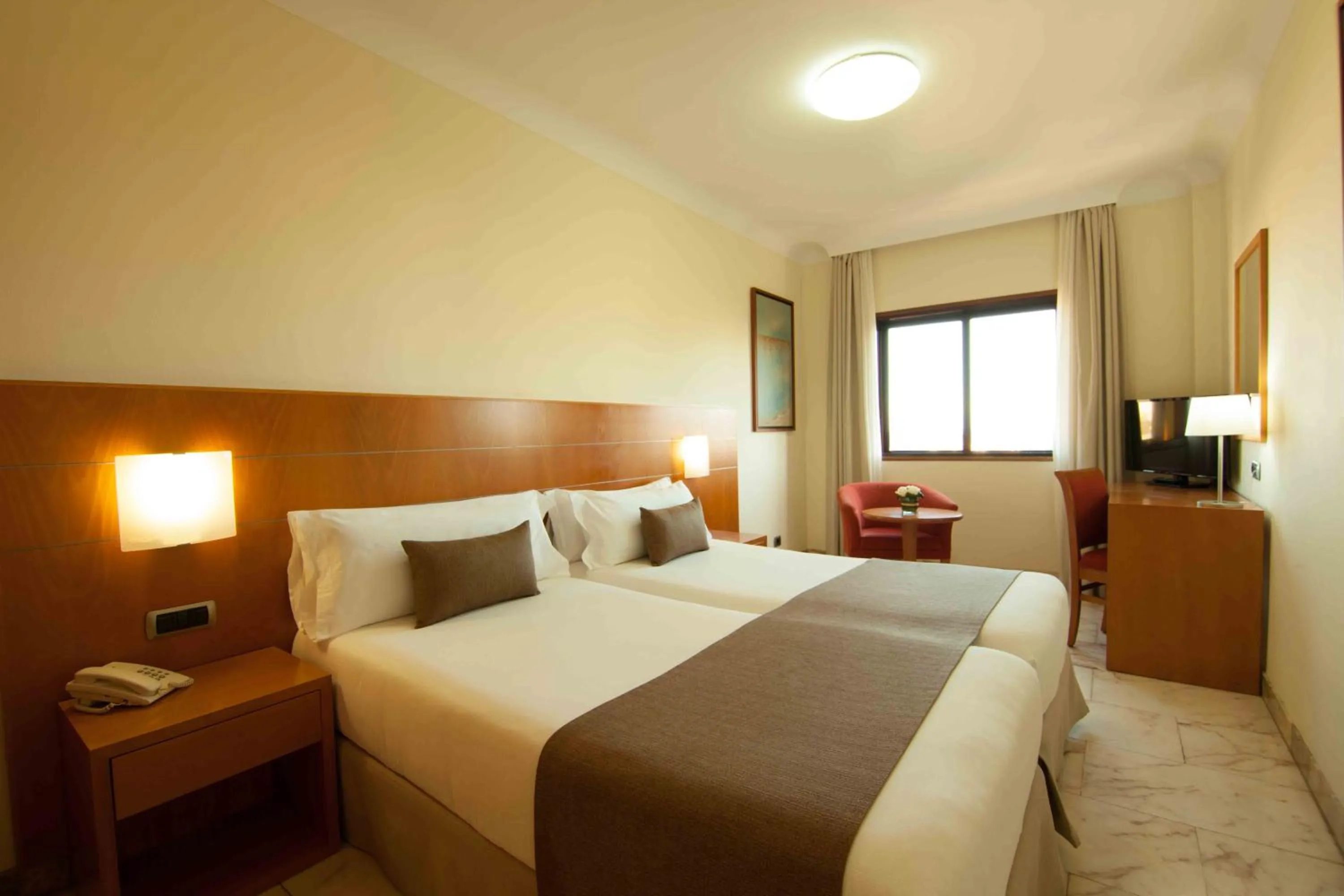 Small Double Room in Hotel Principe Paz