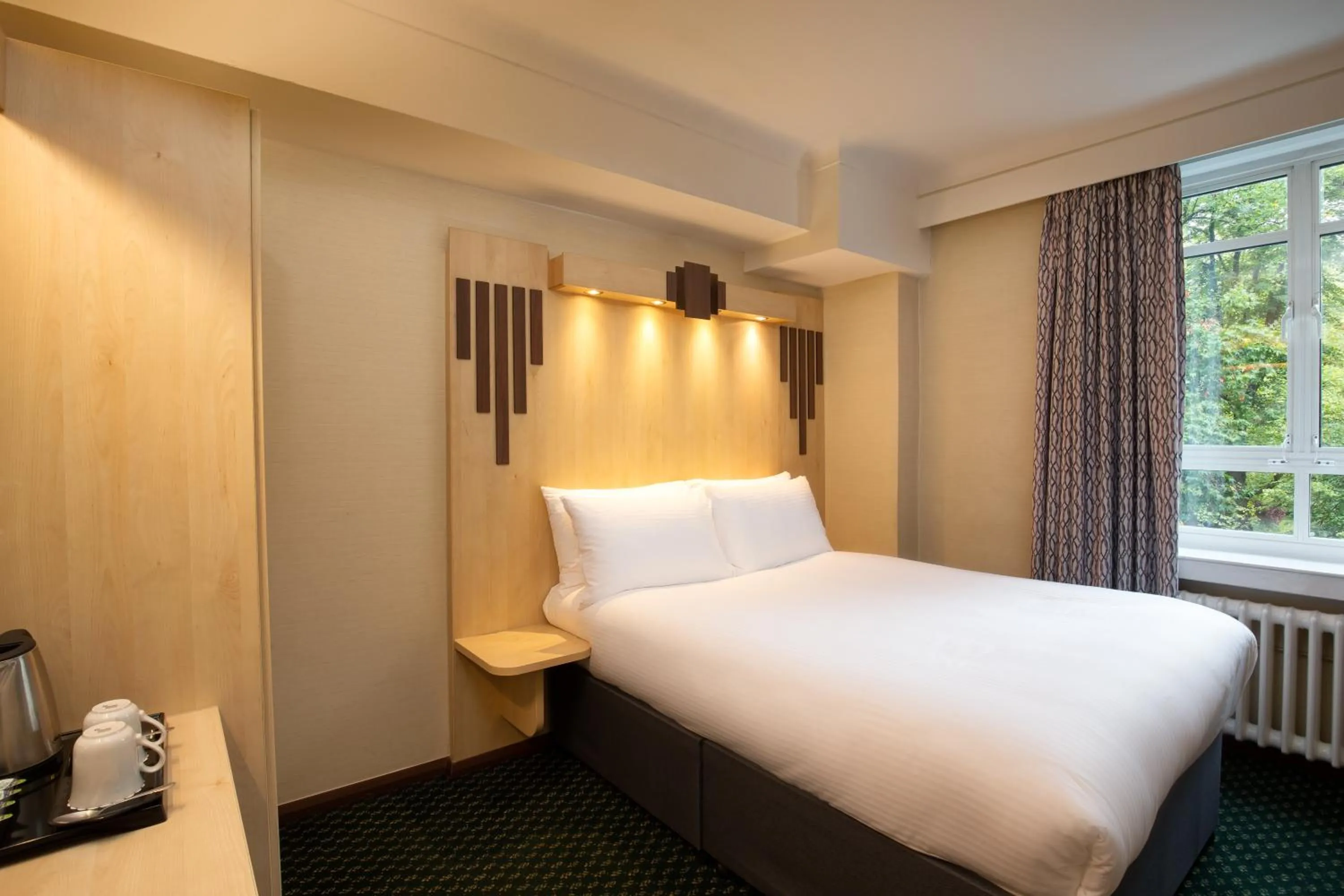 Standard Double Room Park View in Tavistock Hotel