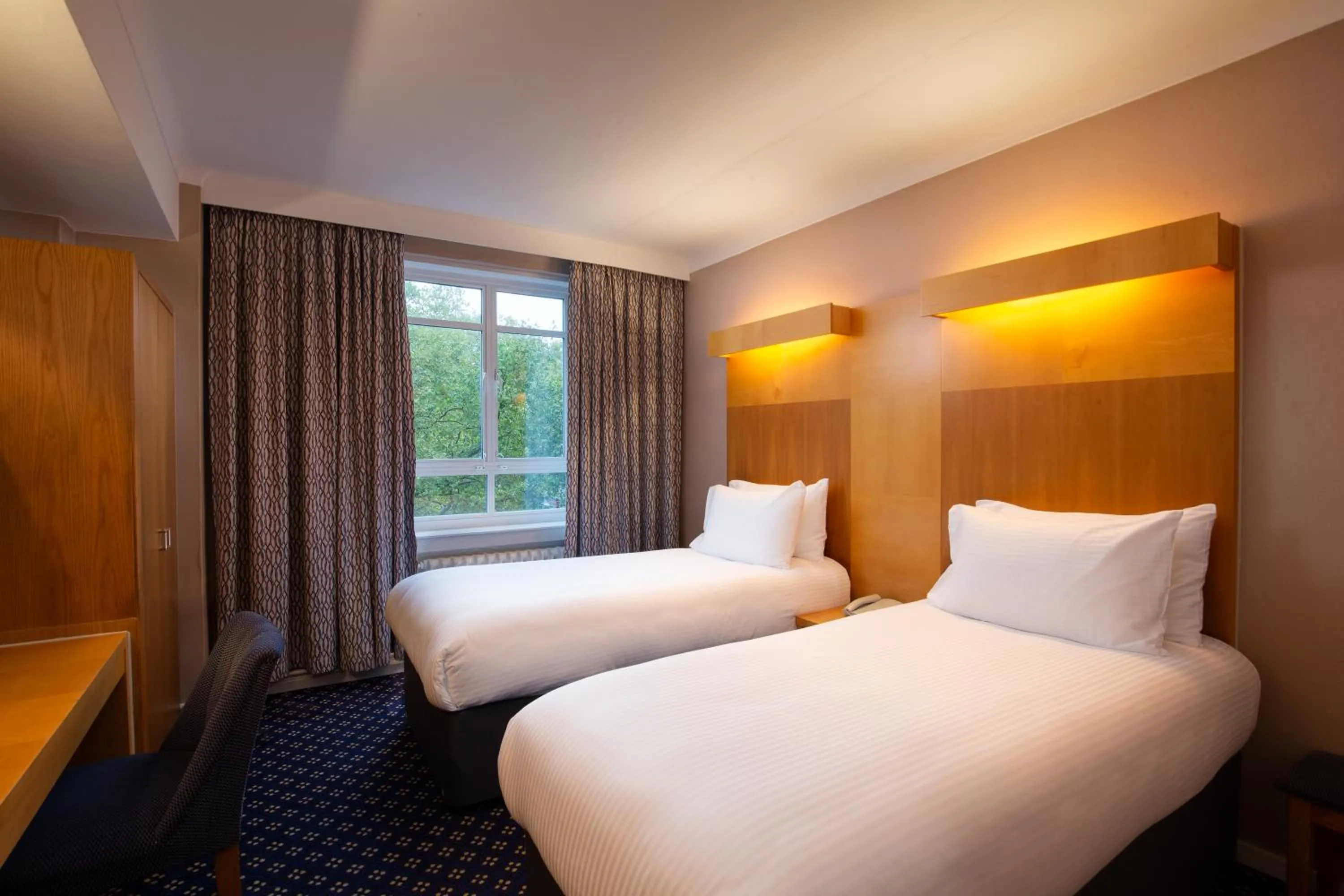 Standard Twin Room Park View in Tavistock Hotel