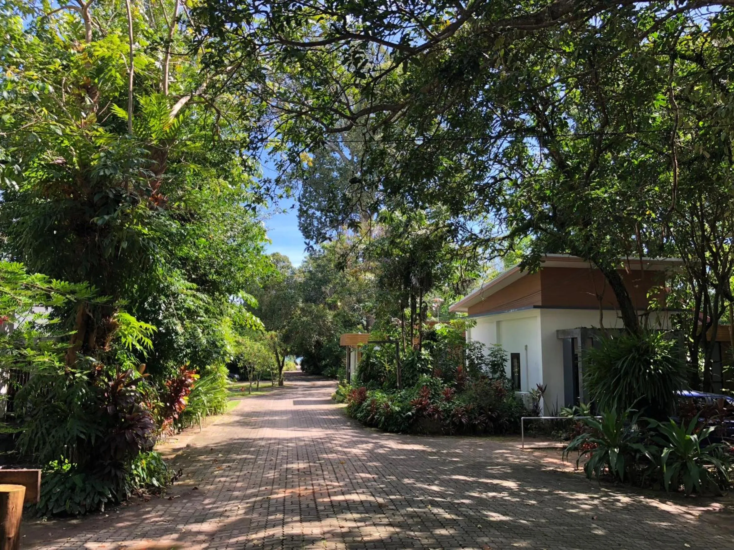 Suite with Garden View in Likita Resort