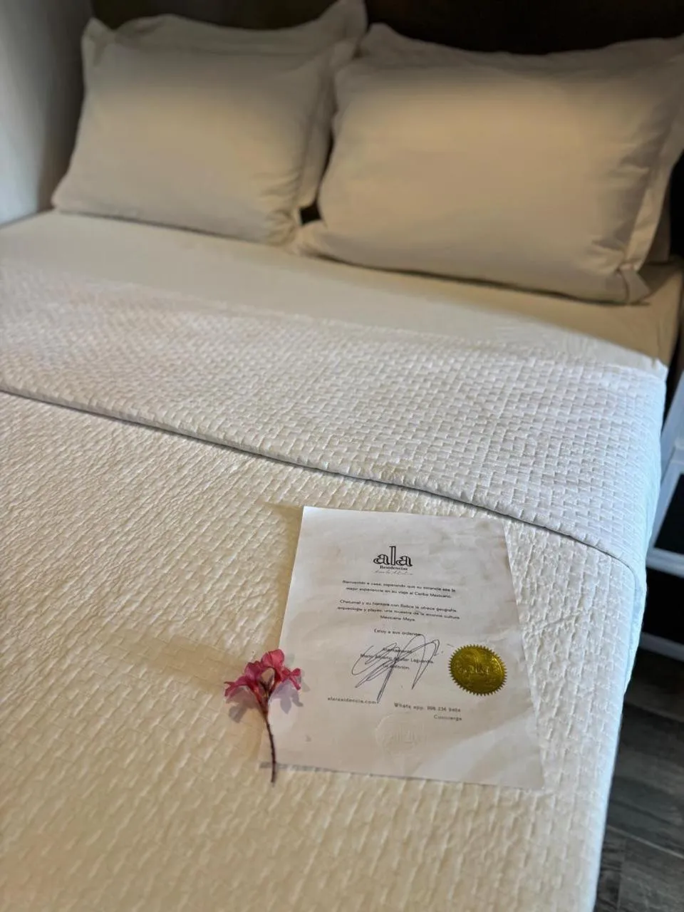 Standard Apartment in Apartamentos "Ala Residencias"