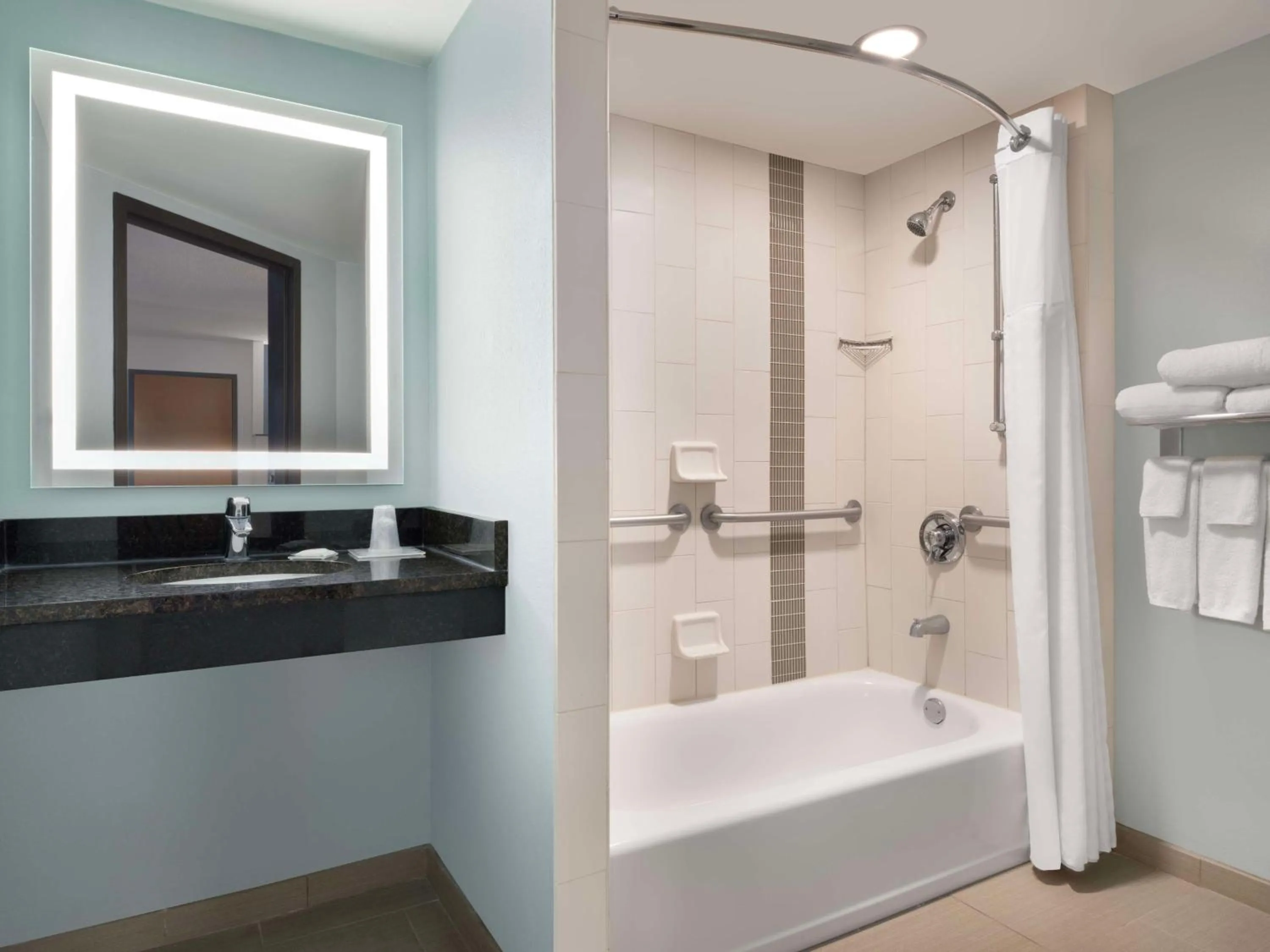 King Room with Sofa Bed and Accessible Tub - Disability Access in Hyatt Place Tampa Busch Gardens