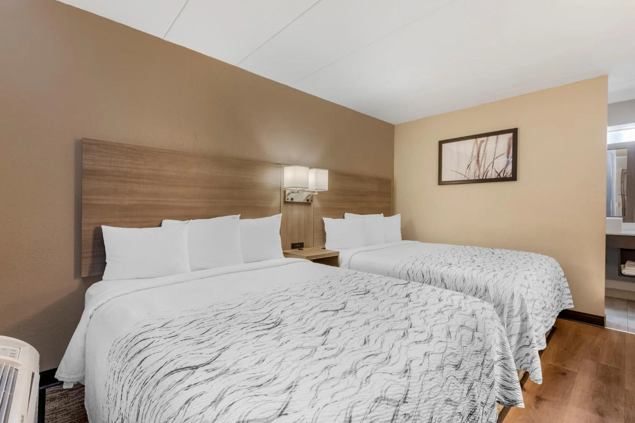 Superior Room with Two Queen Beds Non-Smoking in Red Roof Inn Bourbonnais
