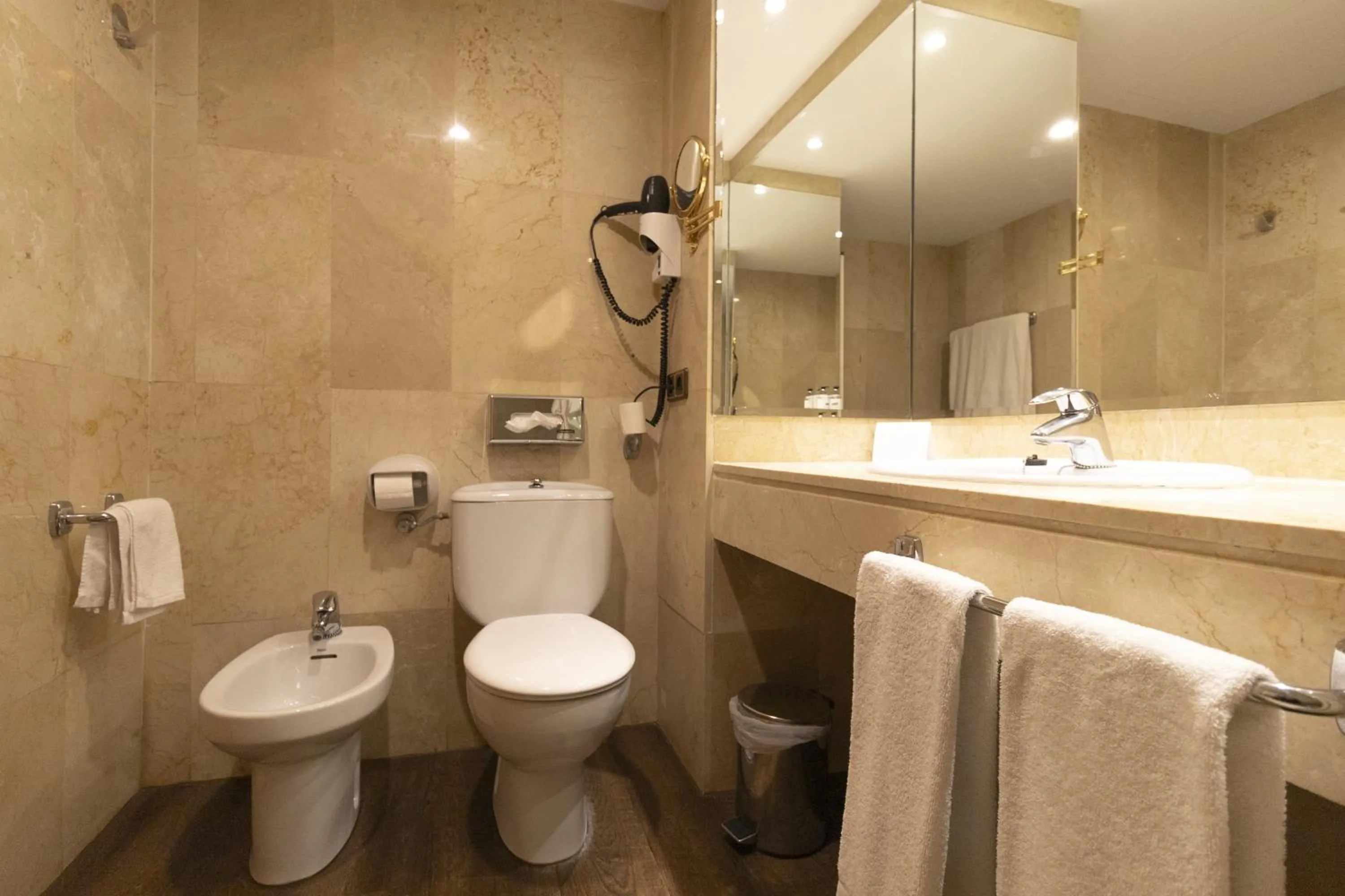 Standard Triple Room in Best Western Premier CMC Girona