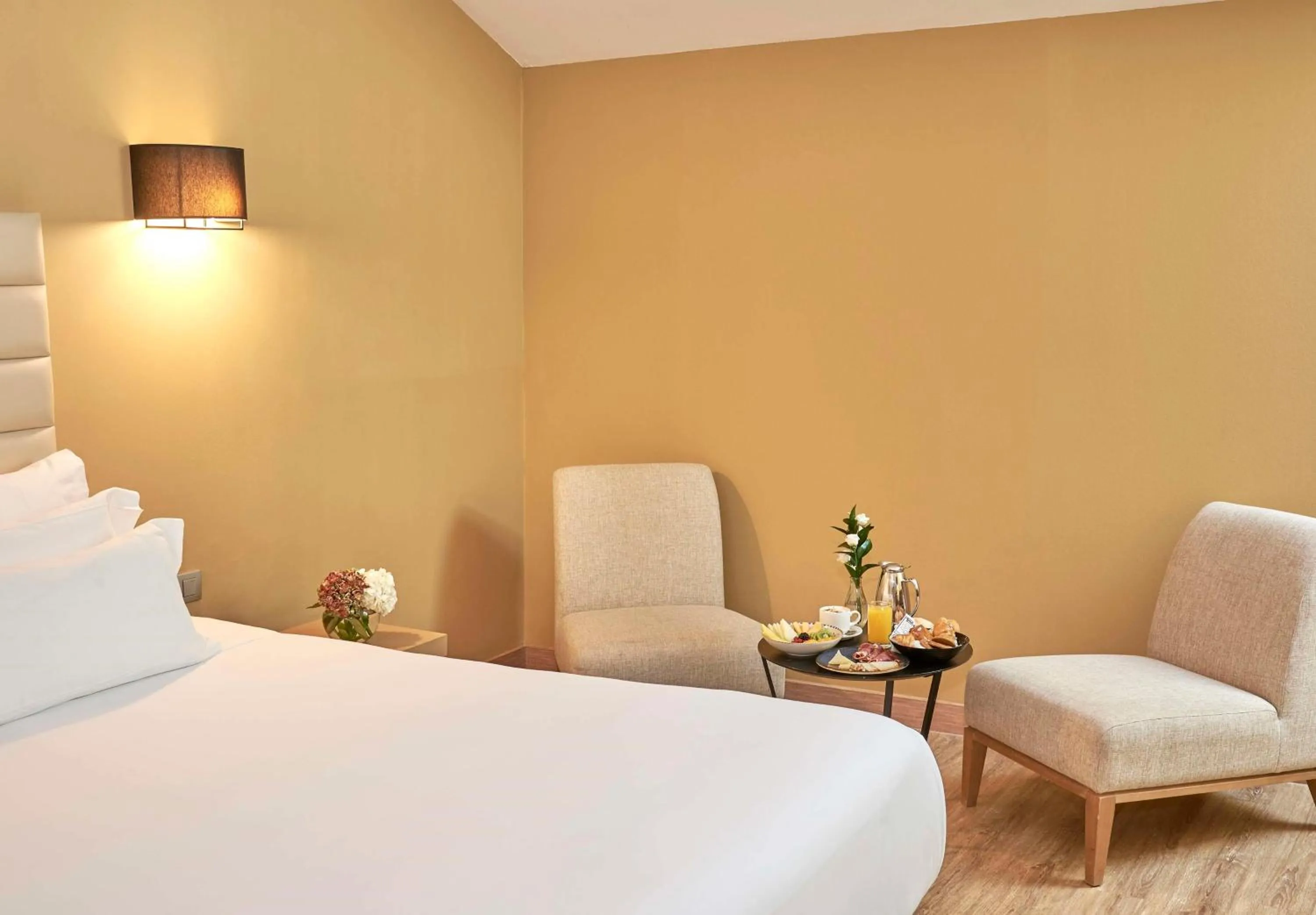 Superior Double or Twin Room with View in NH Collection Cáceres Palacio de Oquendo