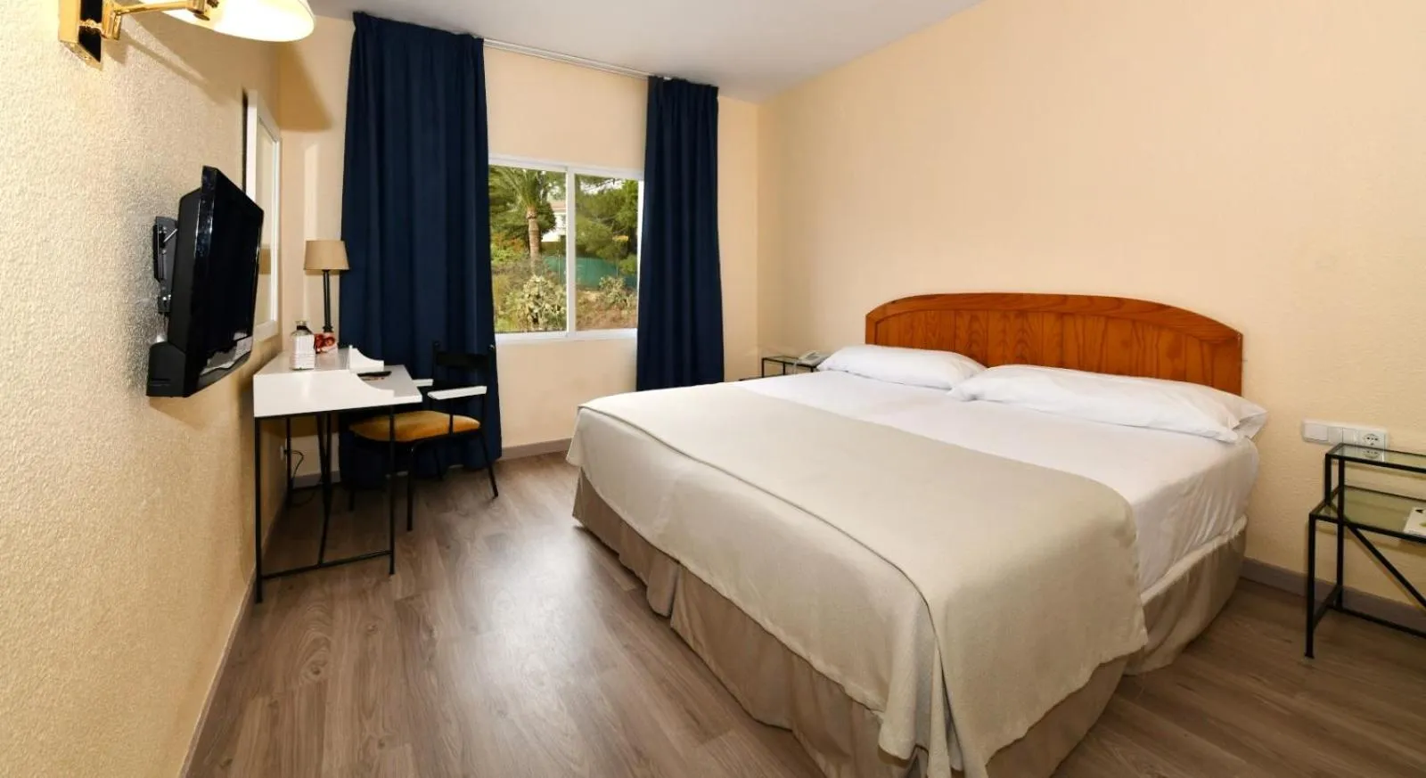 Standard Double Room in Hotel Salobreña Suites