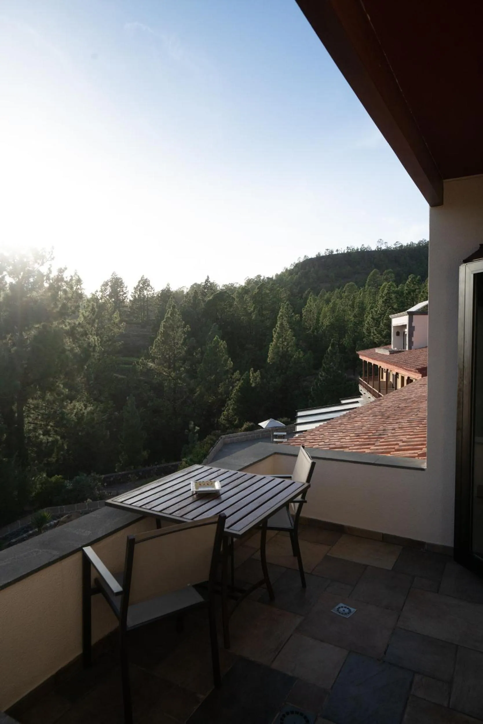 Attic Room with Garden View in Hotel Spa Villalba