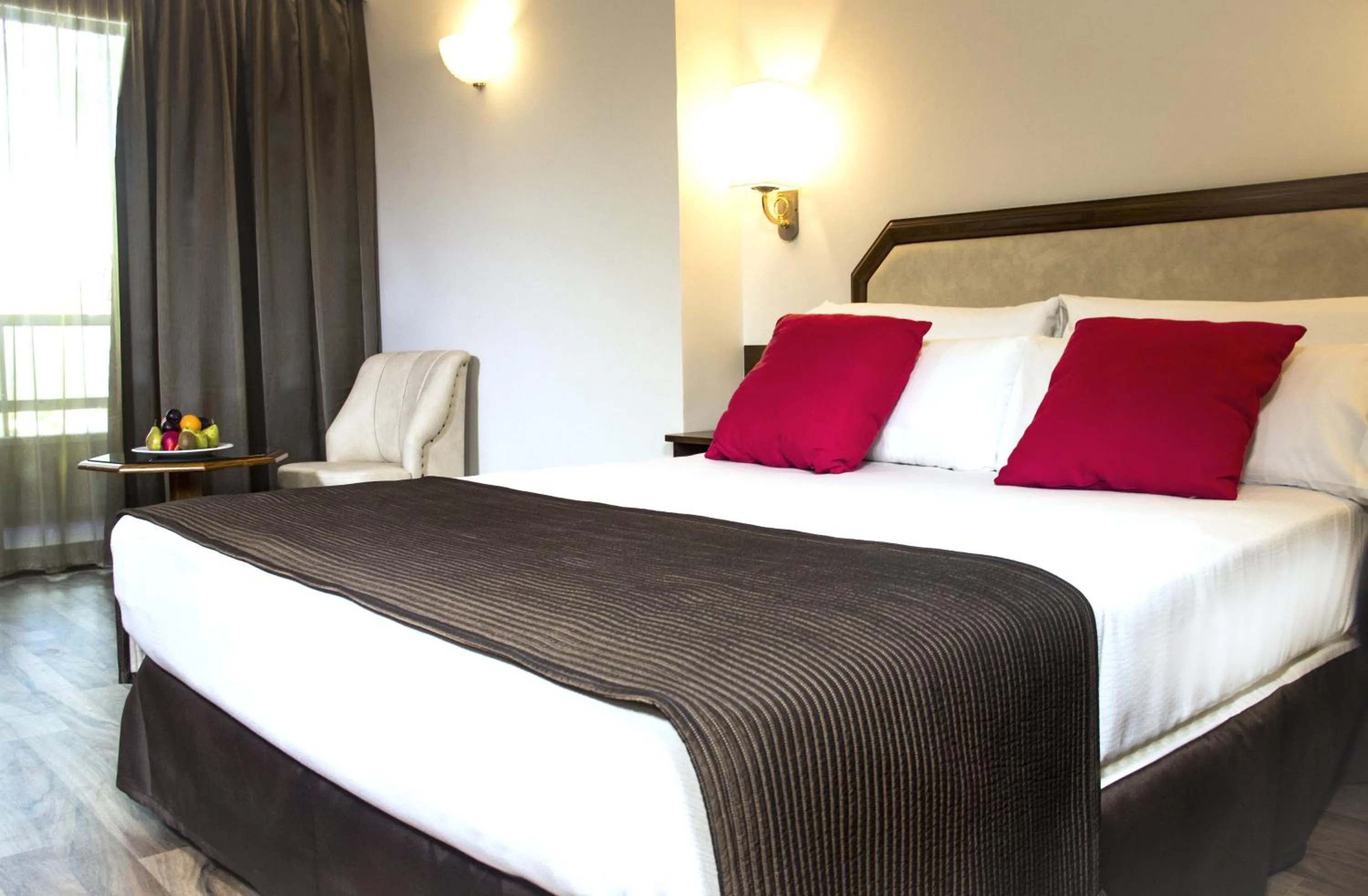 Double King Room in Senator Barajas