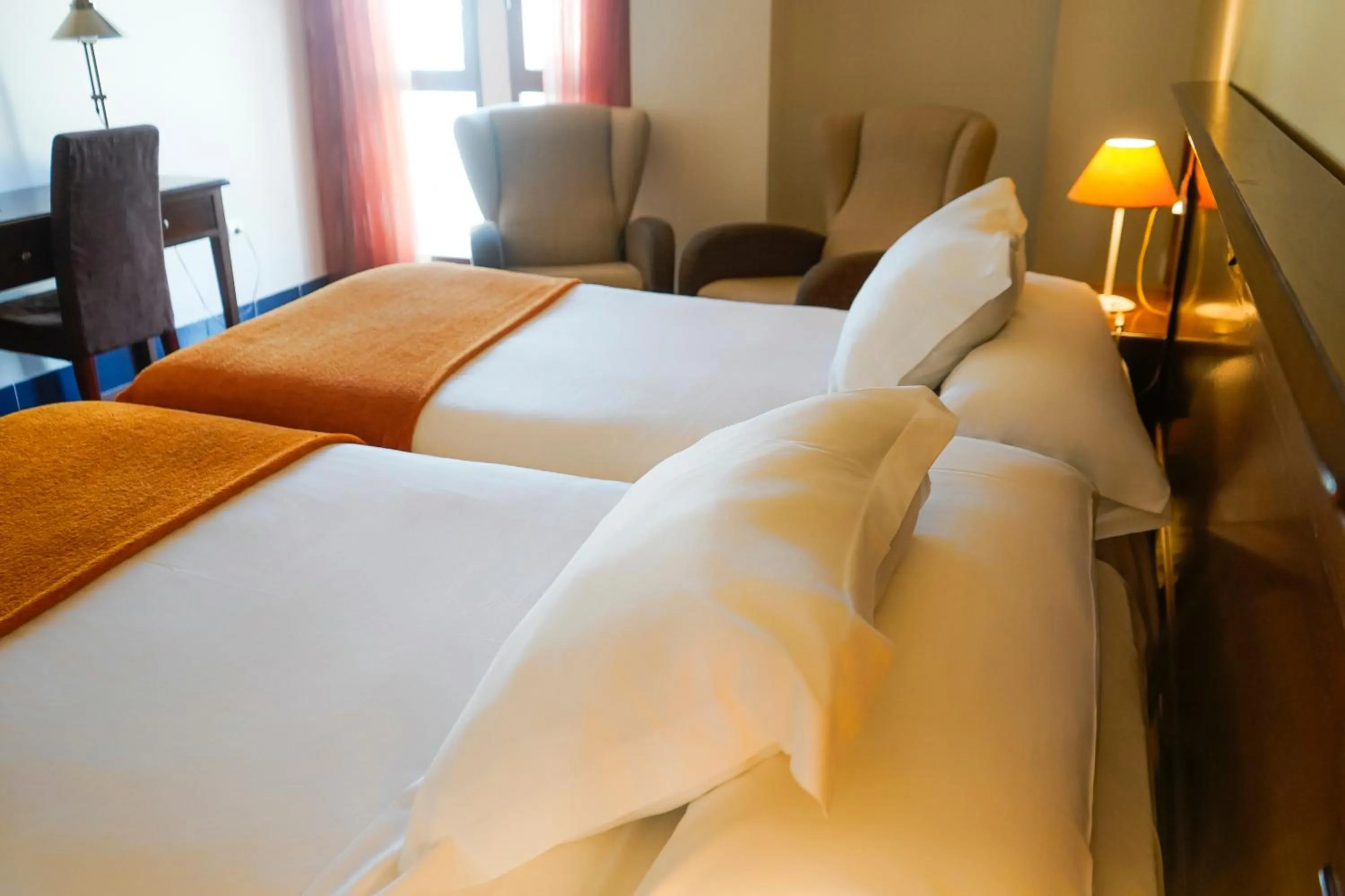 Superior Double or Twin Room - single occupancy in Hotel Rosaleda Don Pedro