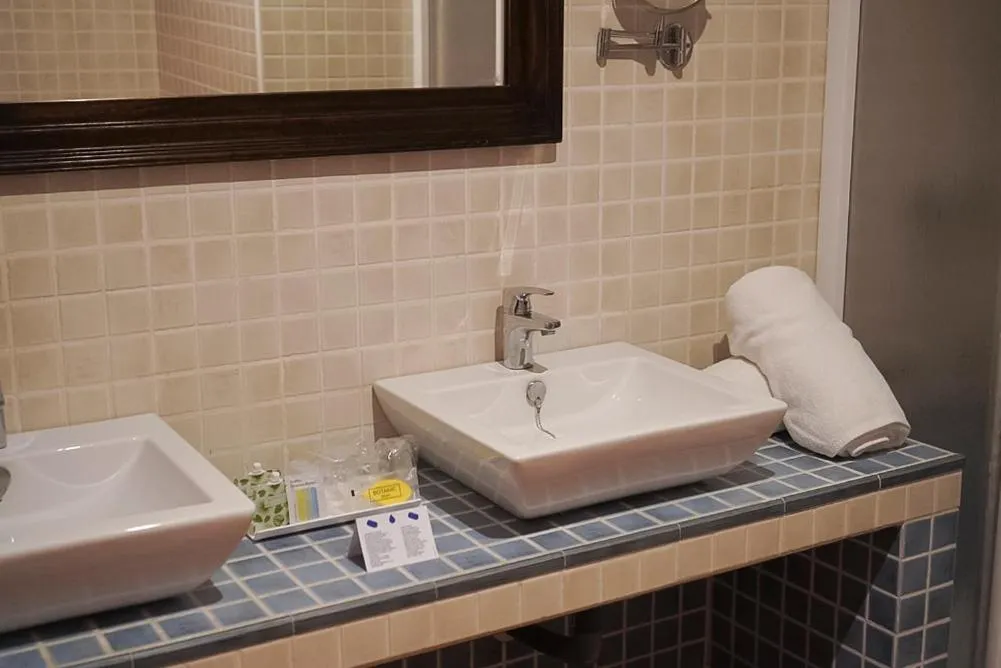 Twin Room in Hotel Rosaleda Don Pedro