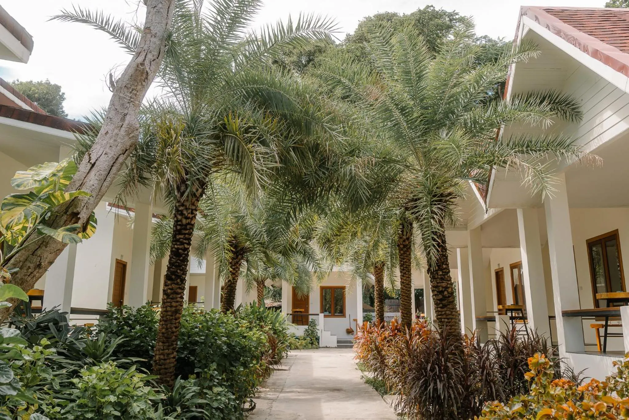 Standard Bungalow Twin Bed in Diamond Beach Resort
