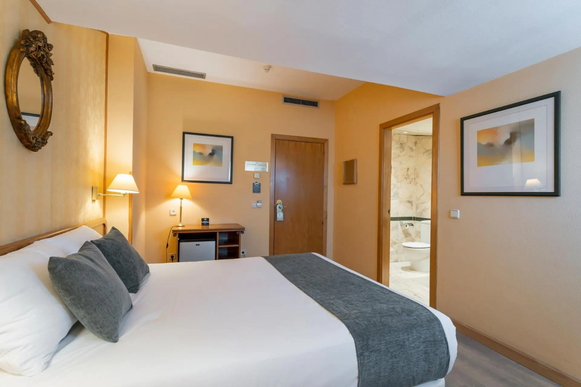 Single Room in Hotel Alda Río Tormes