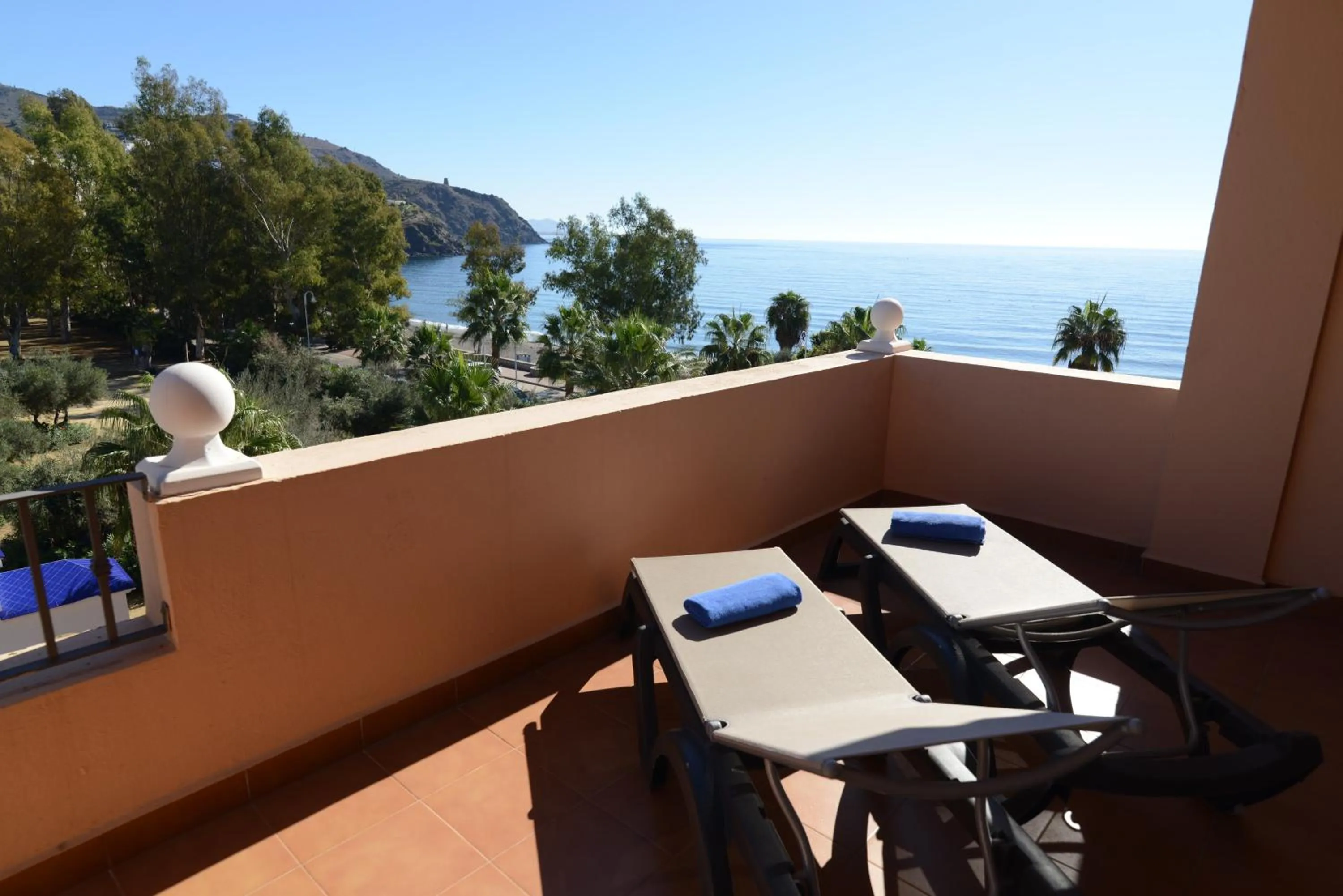 Junior Suite in Bahía Tropical