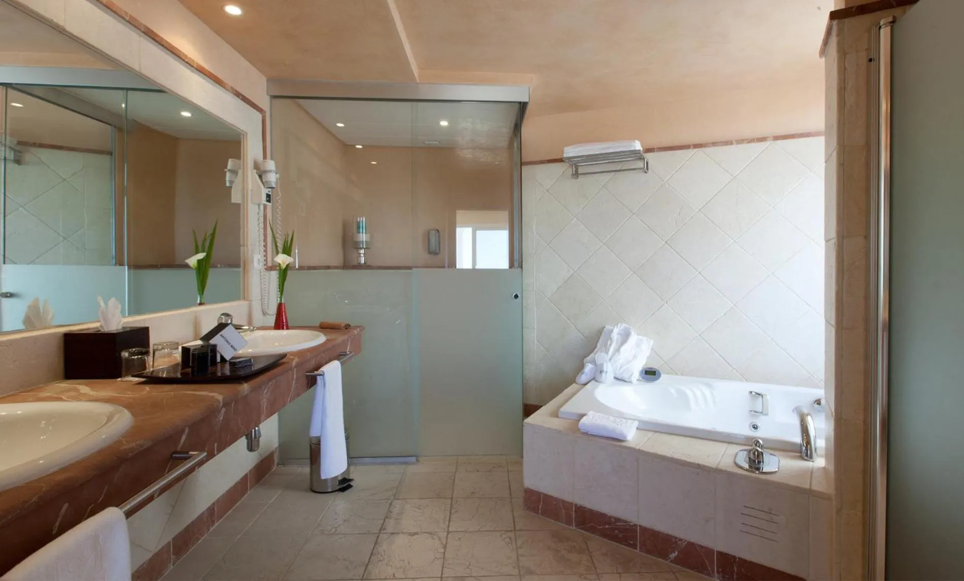 Suite with Private Pool in Senator Banus