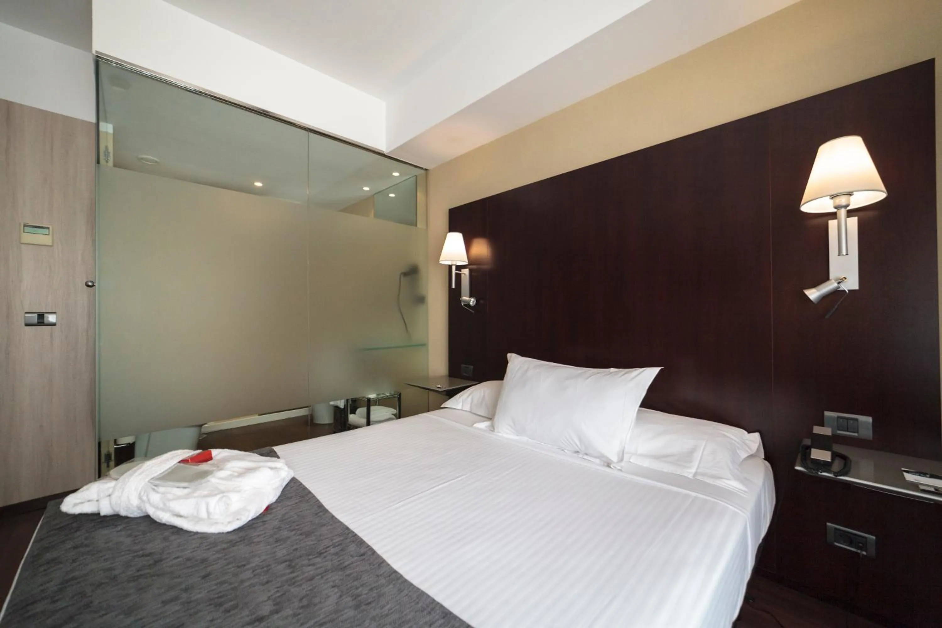 Double or Twin Room in Hotel Salymar