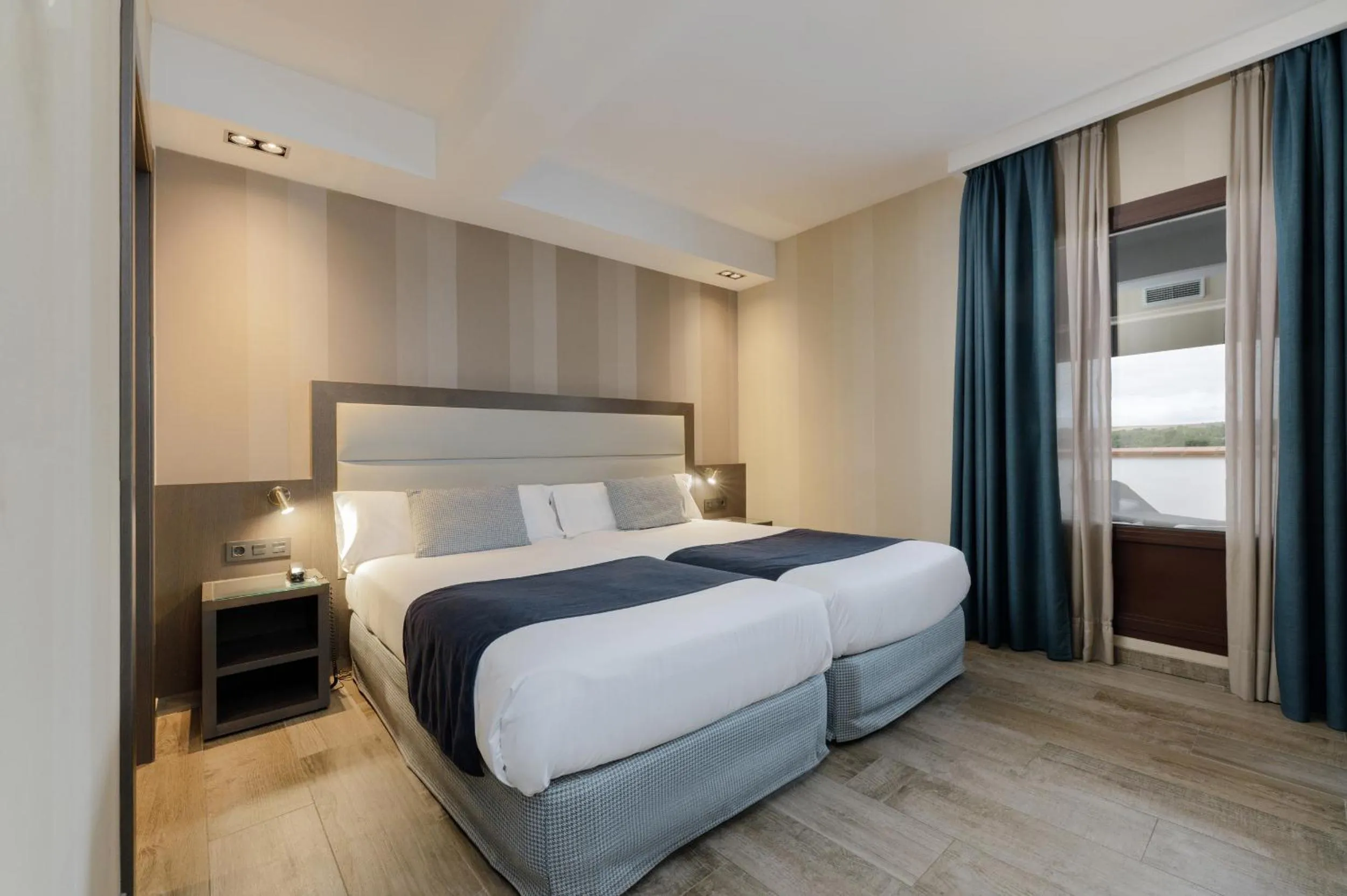 Double or Twin Room with Terrace in Hotel Reina Cristina