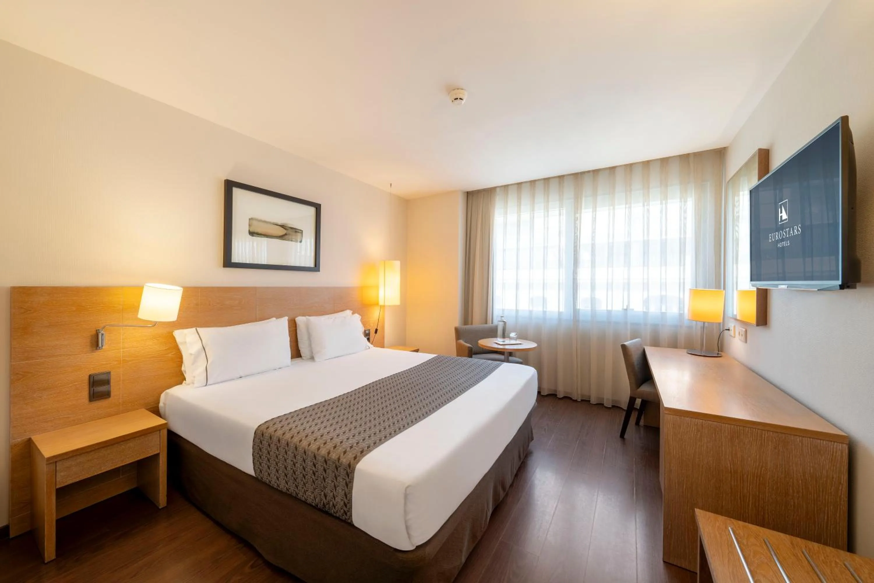 Single Room in Eurostars Lucentum