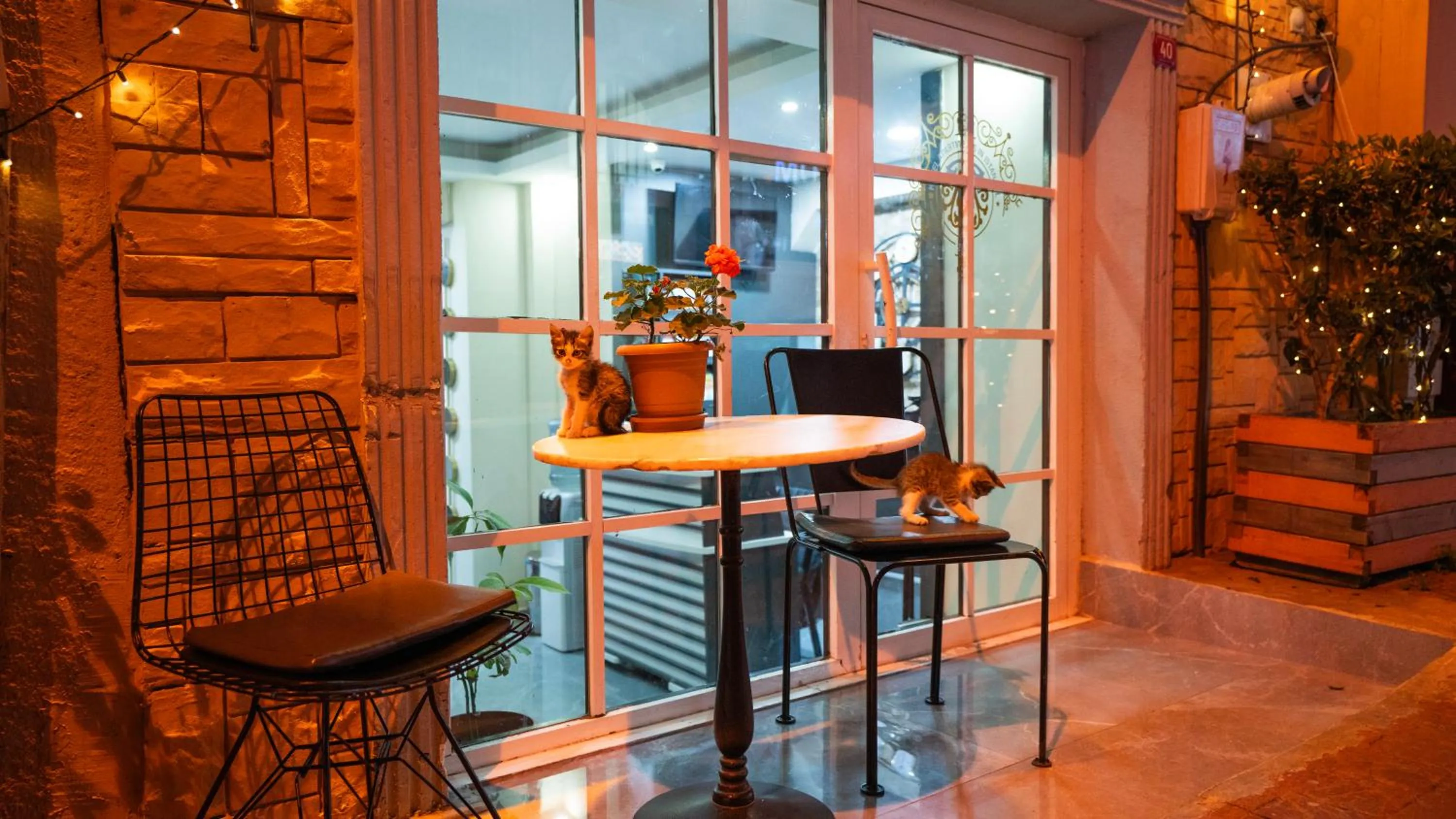 Standard Quadruple Room in MİLA SUİTES TAKSİM