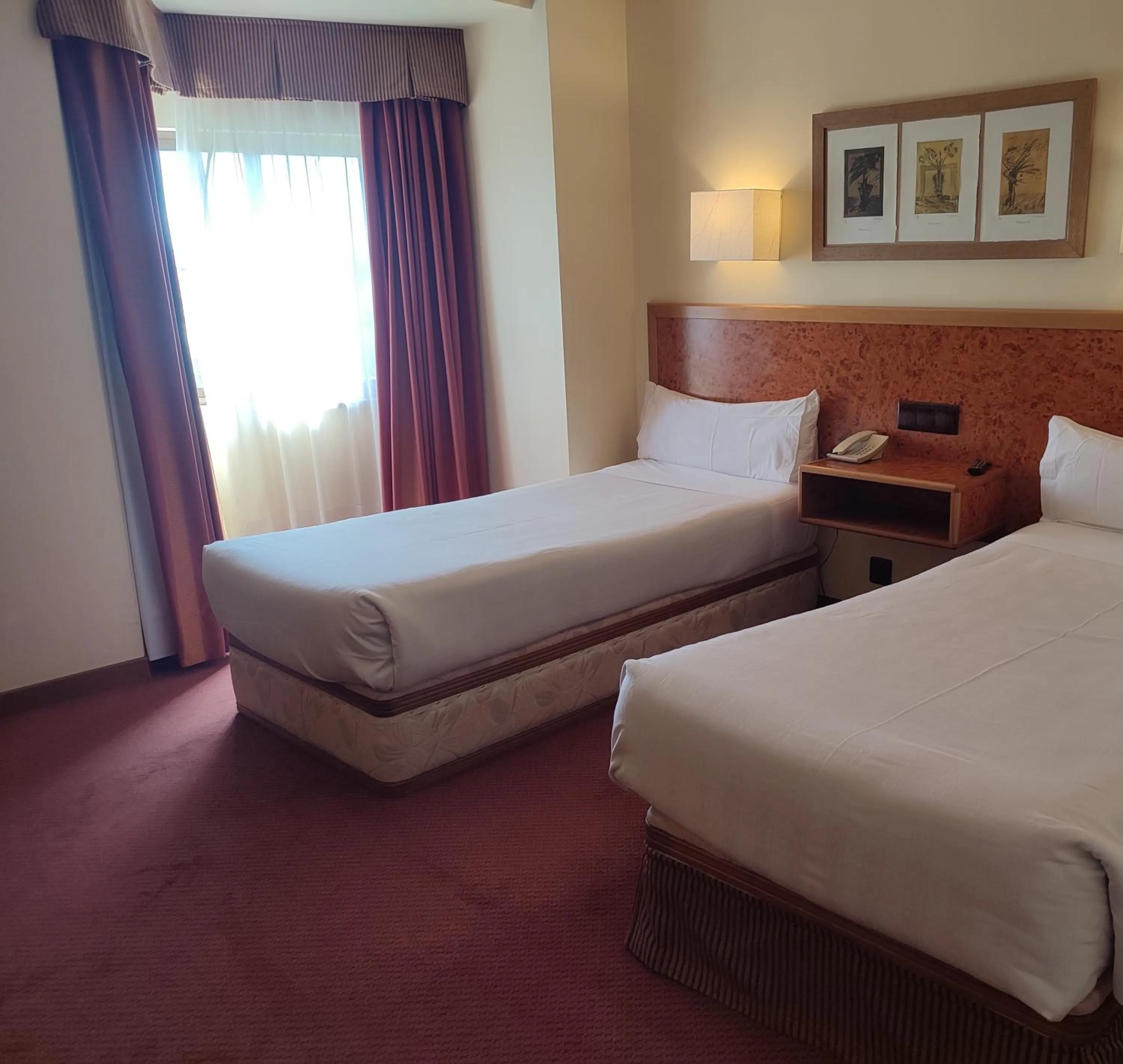 Double or Twin Room in Hotel Sercotel Cuatro Postes