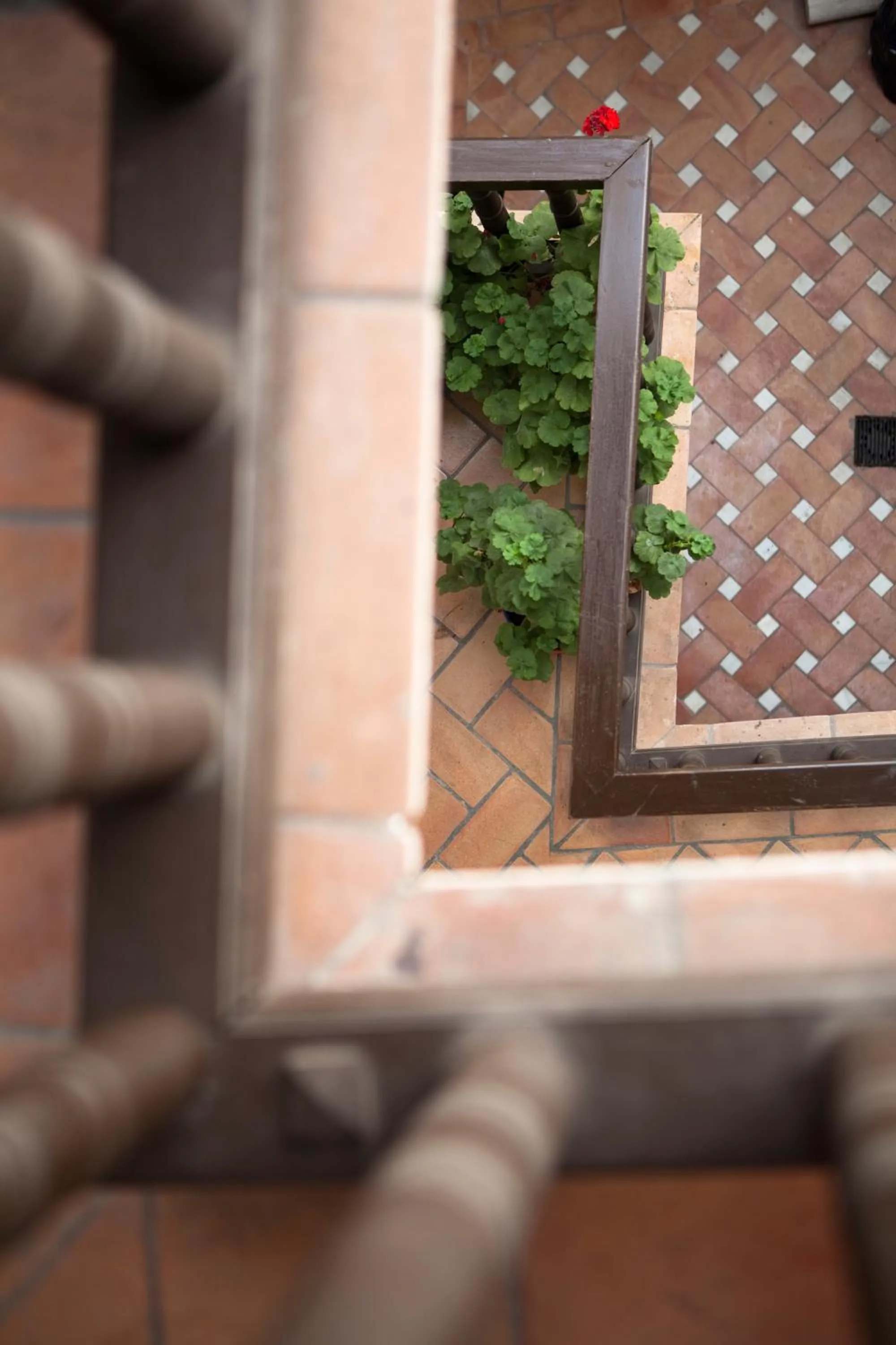 Standard Double or Twin Room in Casa del Capitel Nazarí