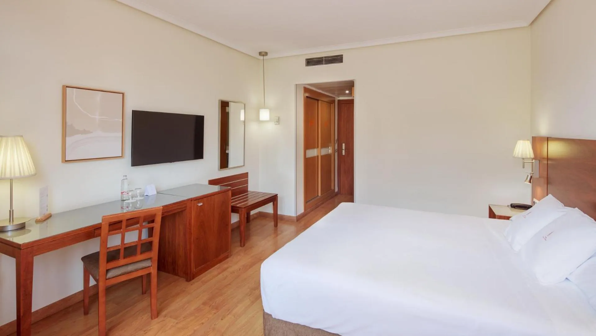 Double Room in Sercotel Los Llanos