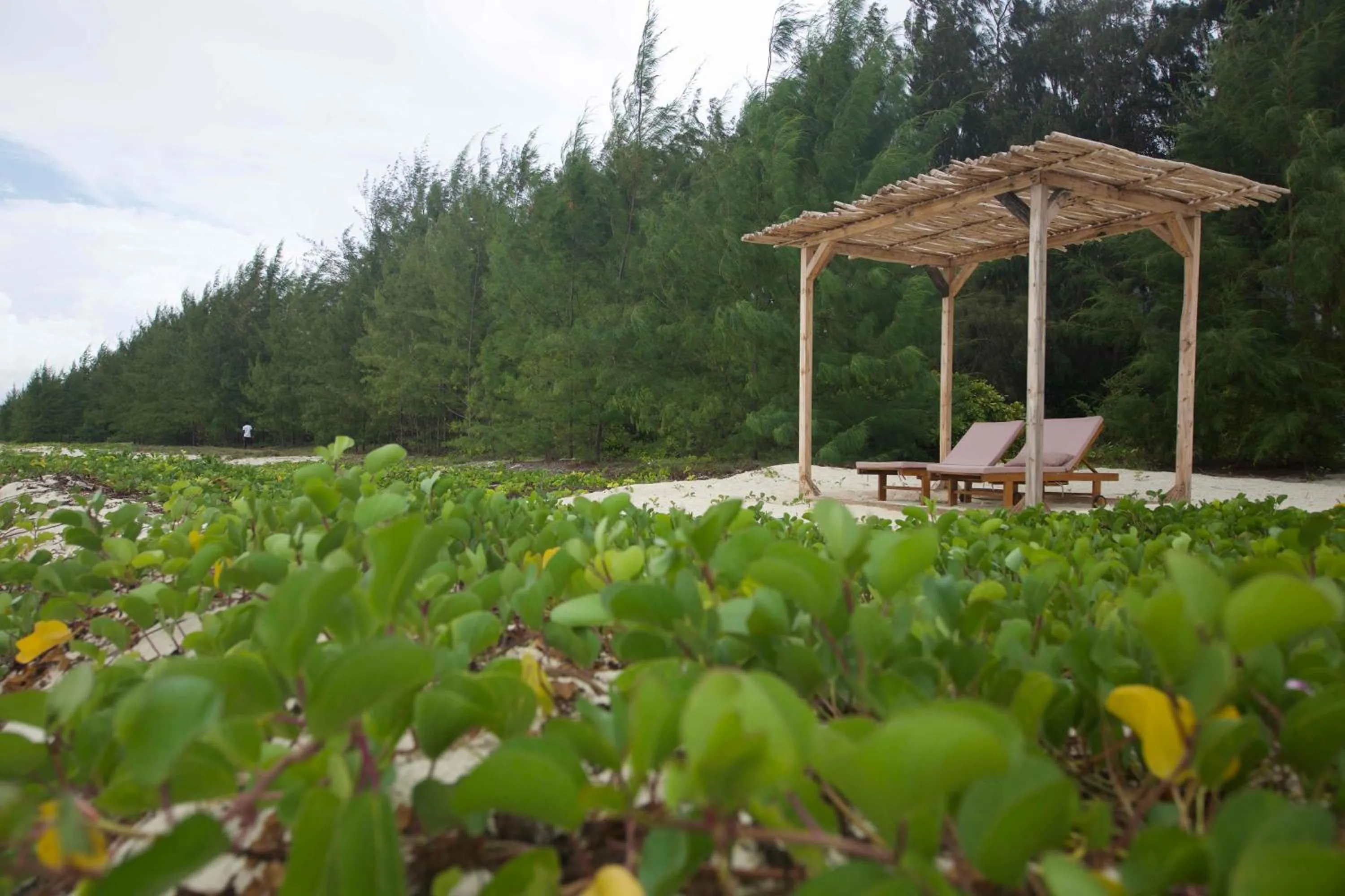 Villa with Garden View in Kivuli Beach Resort Paje