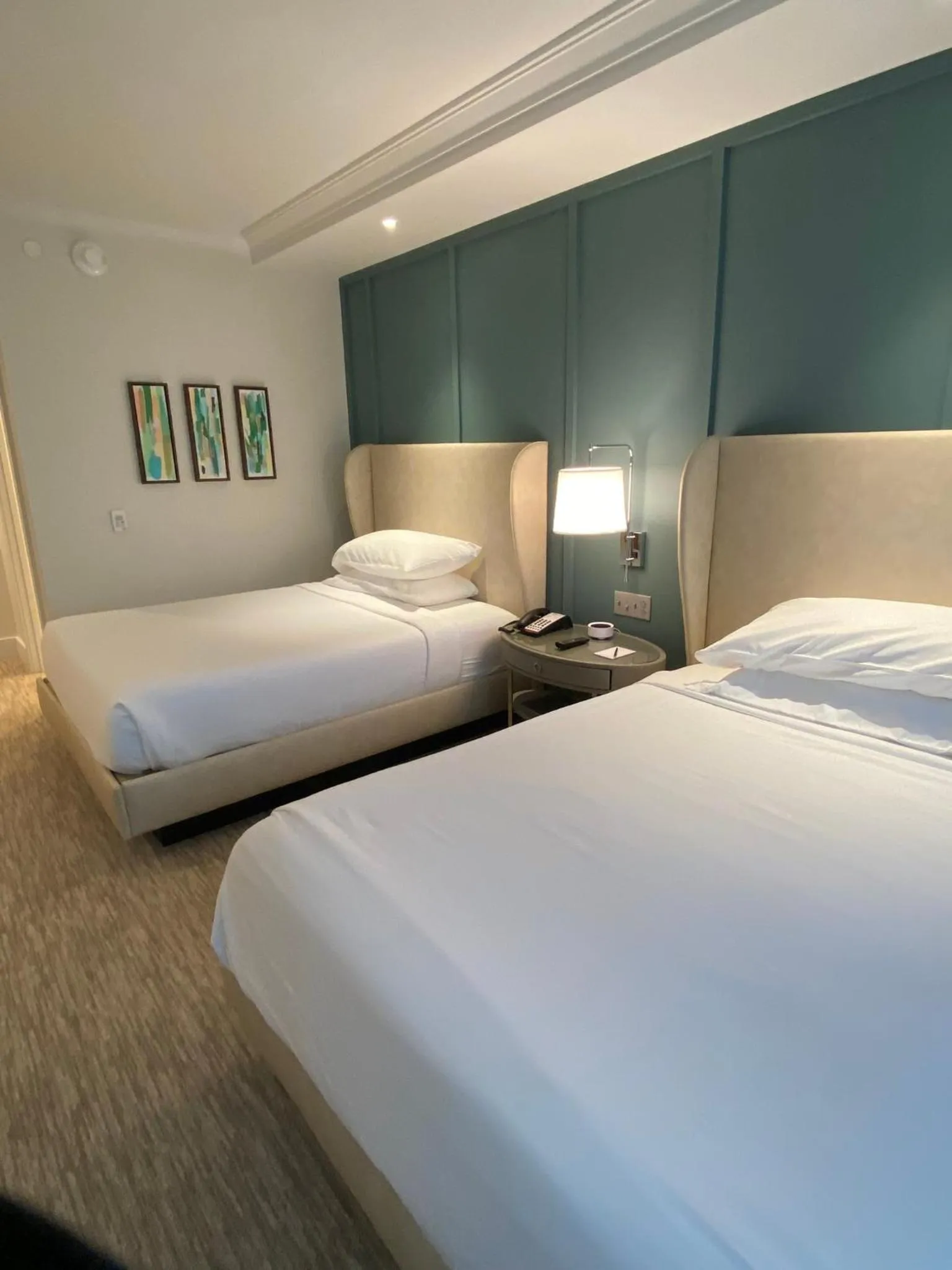 Deluxe Double Room in The Shepherd Hotel Downtown Clemson