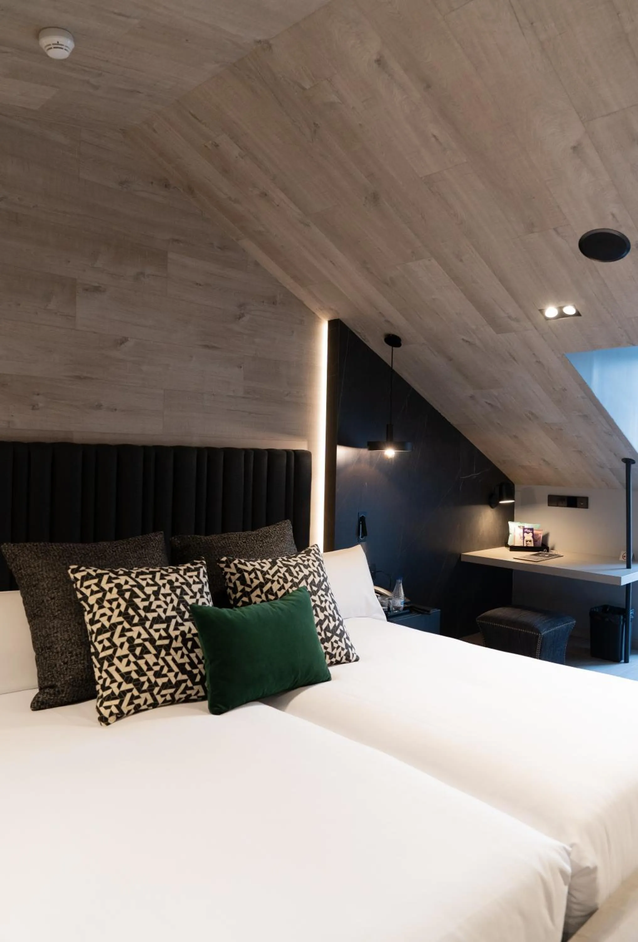 Penthouse Room with Terrace in Hotel Regina