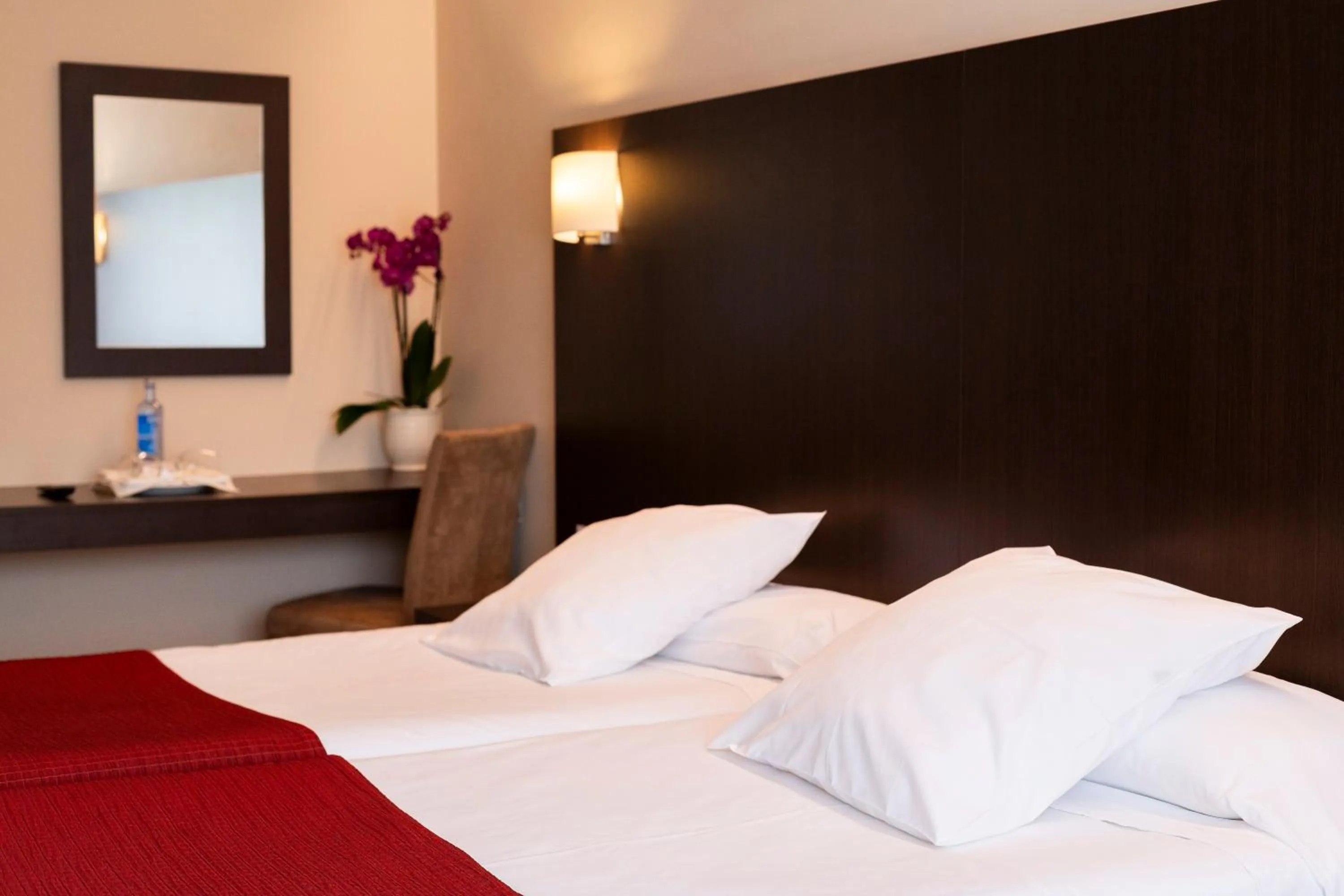 Double or Twin Room in Hotel Santiago Apóstol