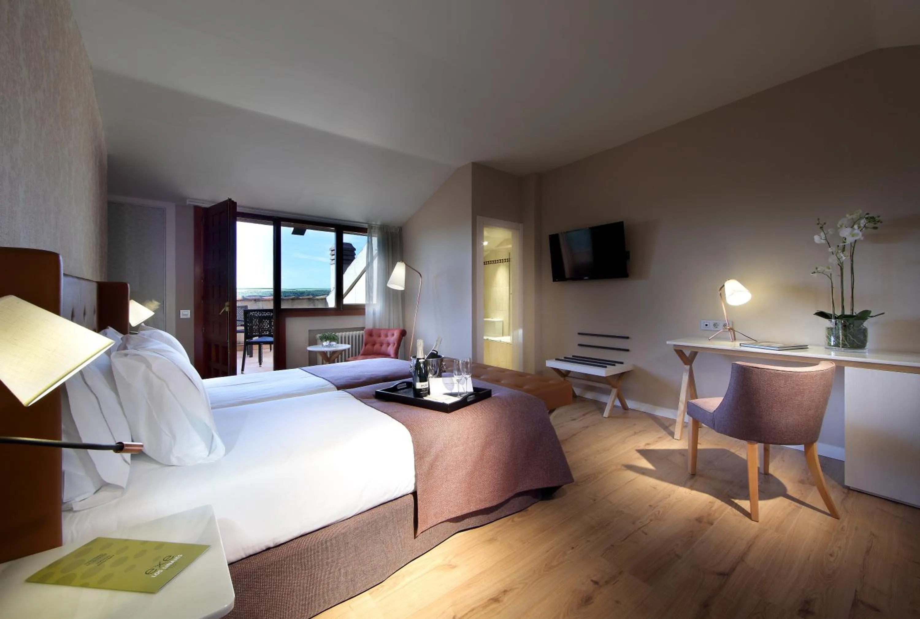 Double Room with Terrace in Exe Casa de Los Linajes