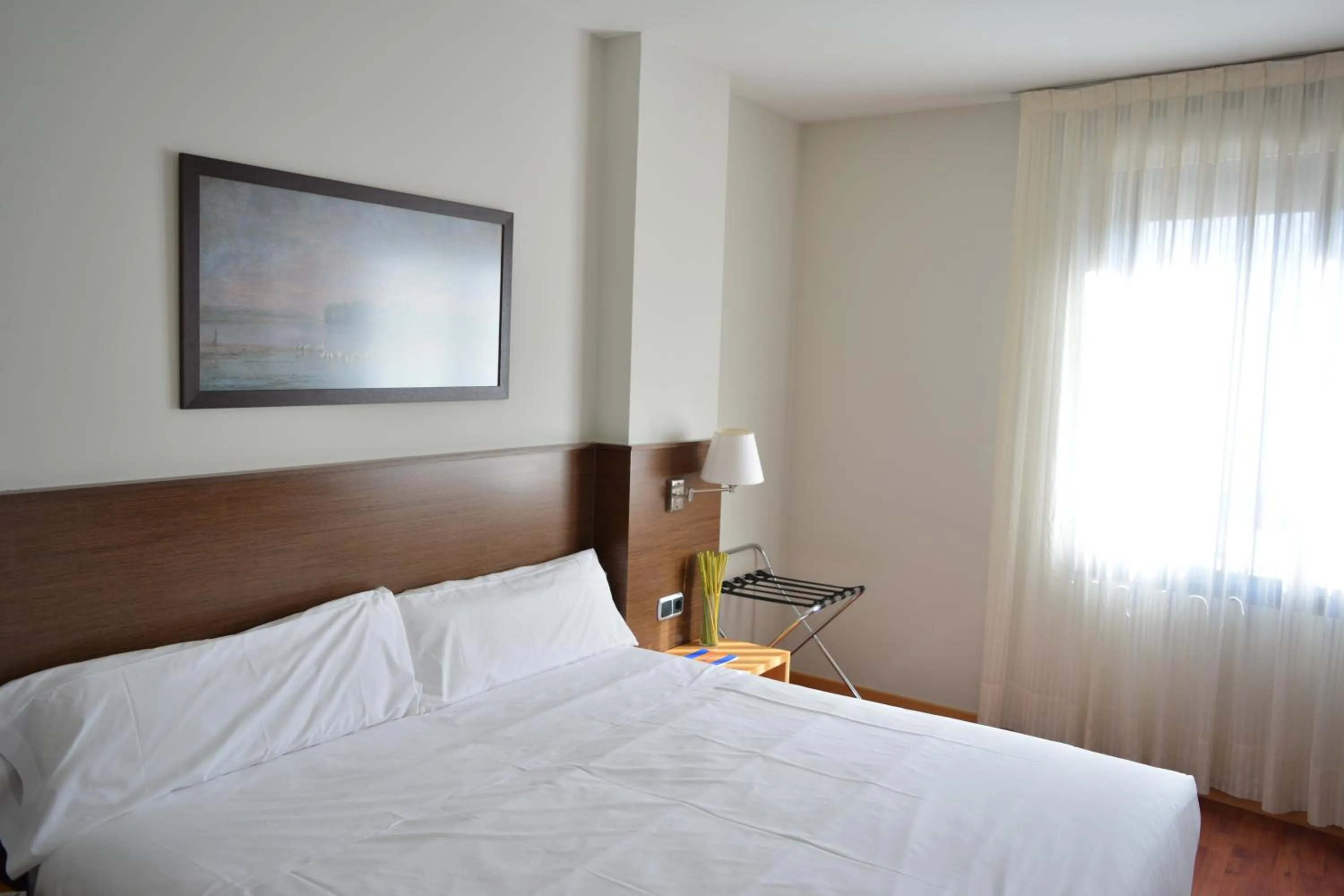 Double or Twin Room in Hotel Palacio Congresos