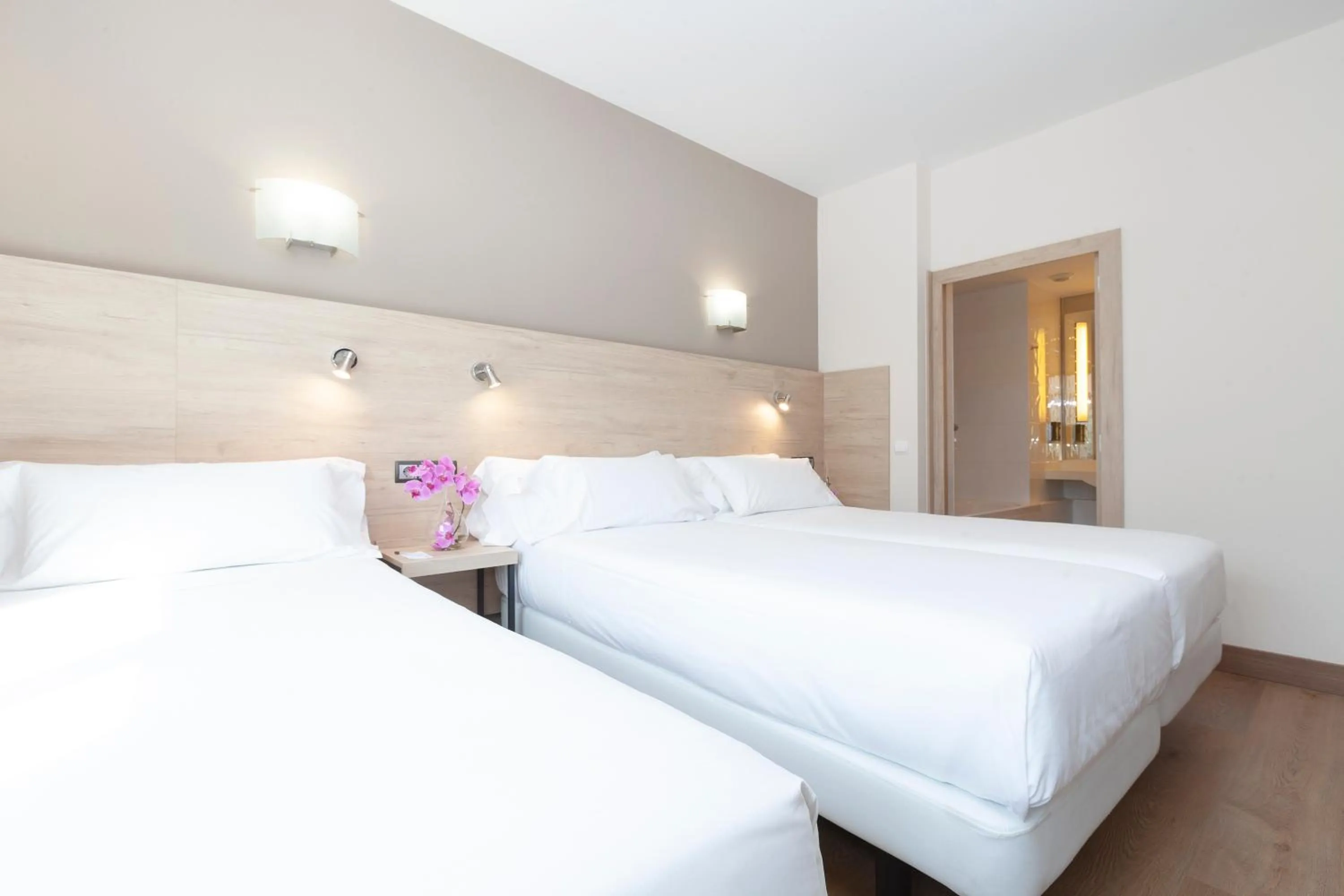 Triple Room in Hotel Puerta de Bilbao