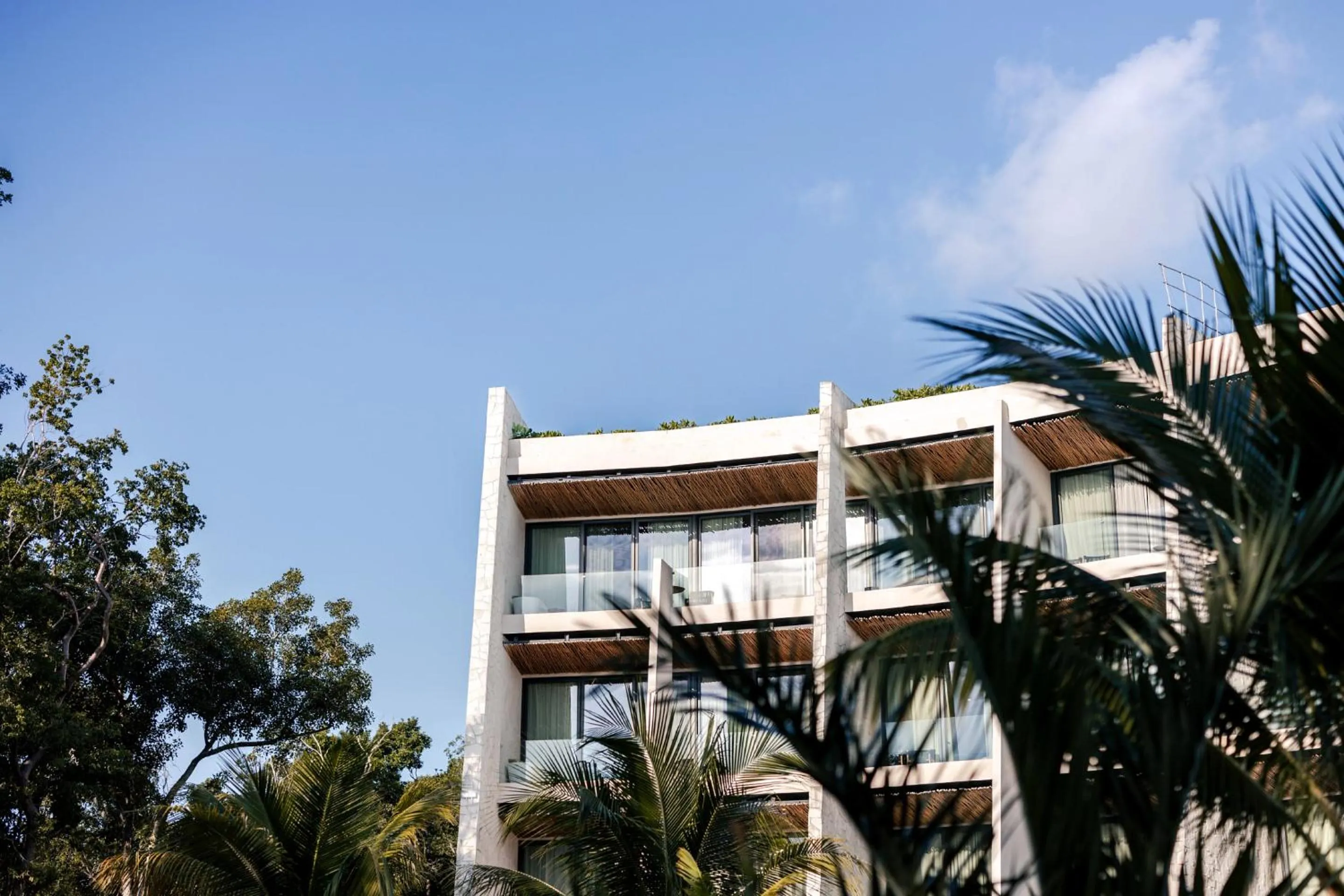 Junior Suite King Bed - single occupancy in Secrets Tulum Resort & Beach Club - Adults Only - All Inclusive