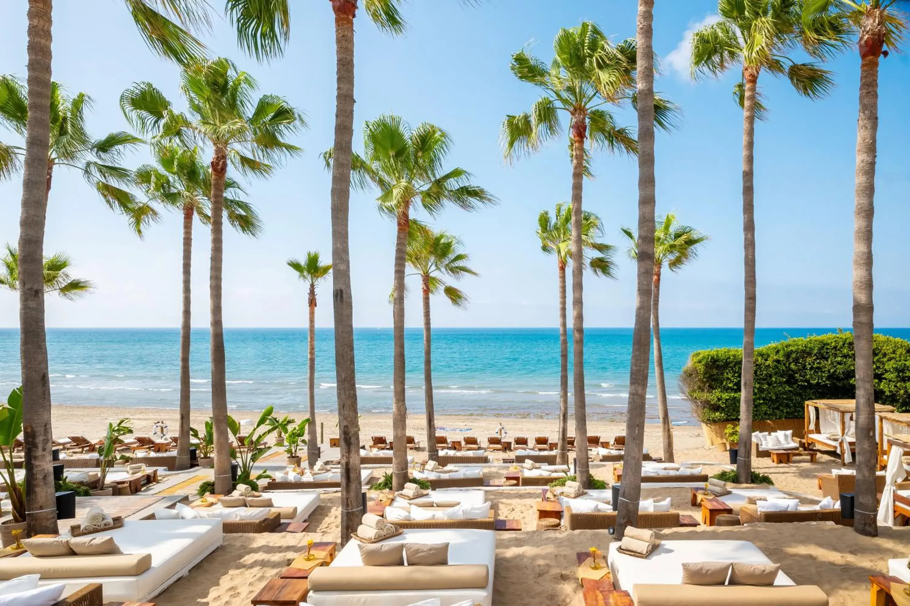 Don Carlos Marbella Don Carlos Marbella