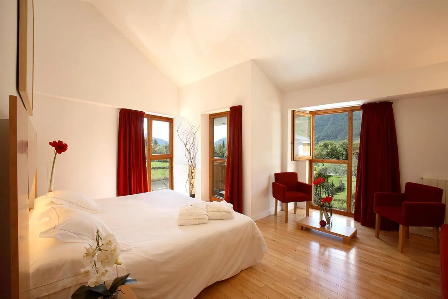 Superior Double Room in Tierra de Biescas