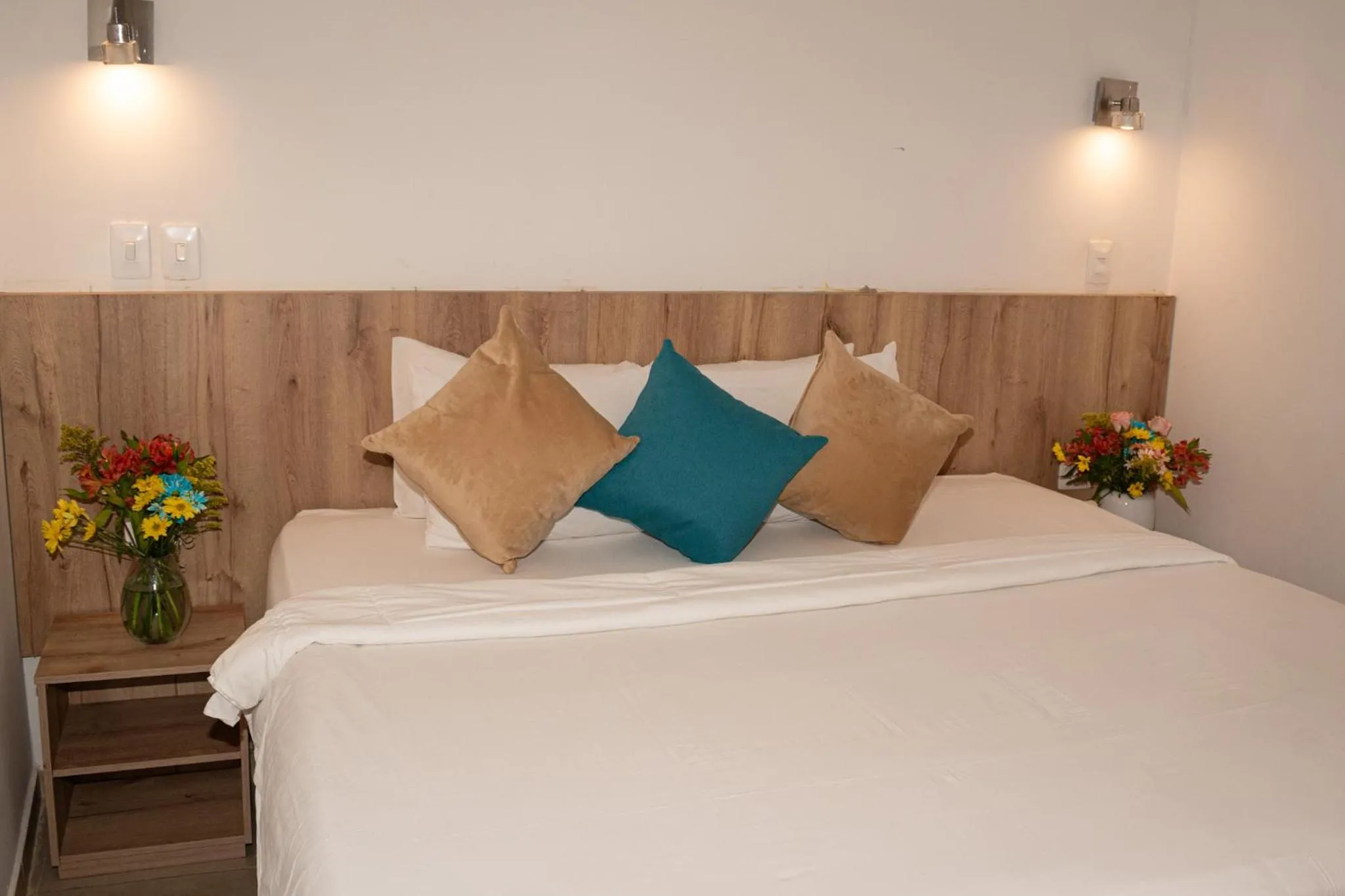 Standard Double Room in Hotel Caribbean Cartagena