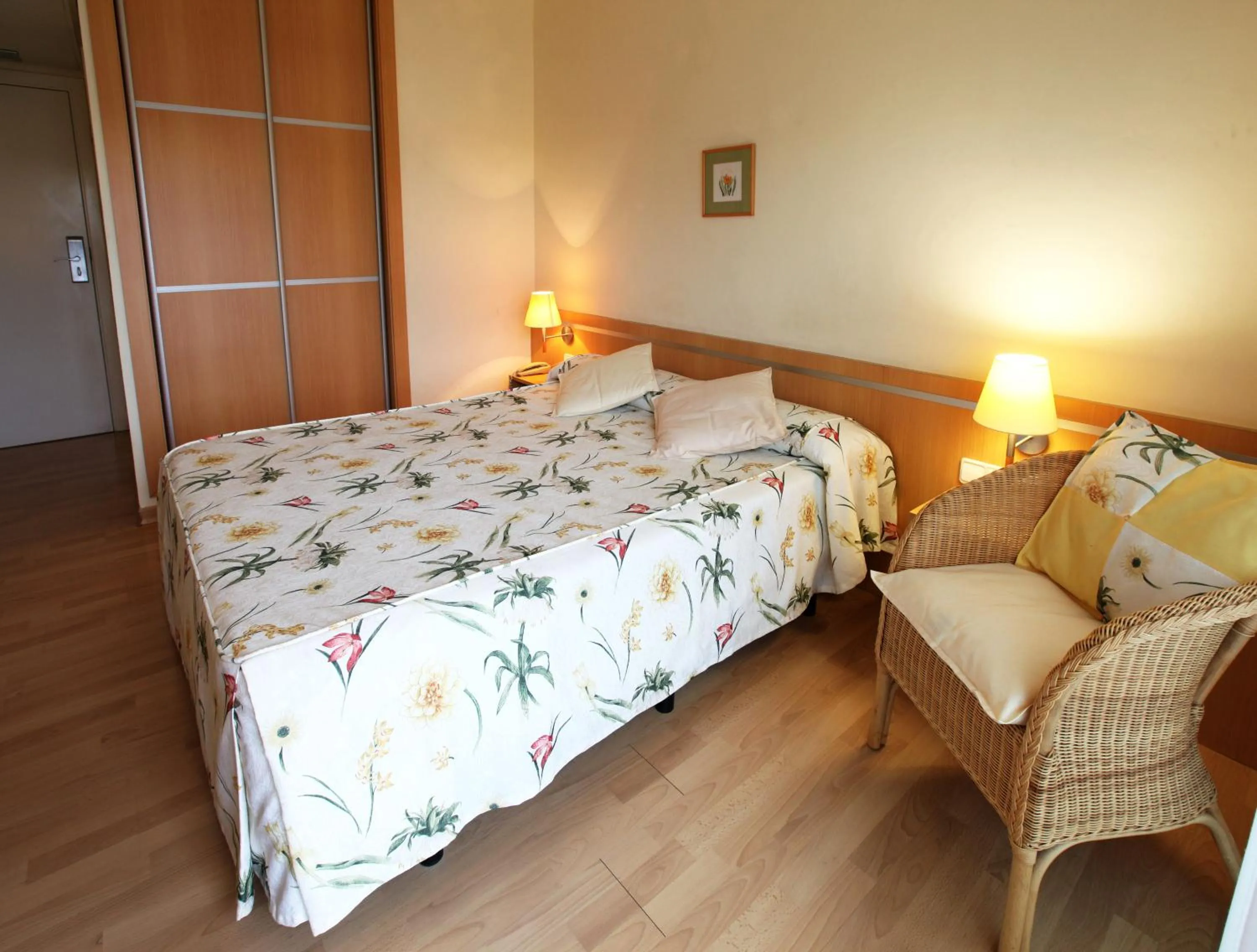 Single Room with Balcony in Hotel Ancora