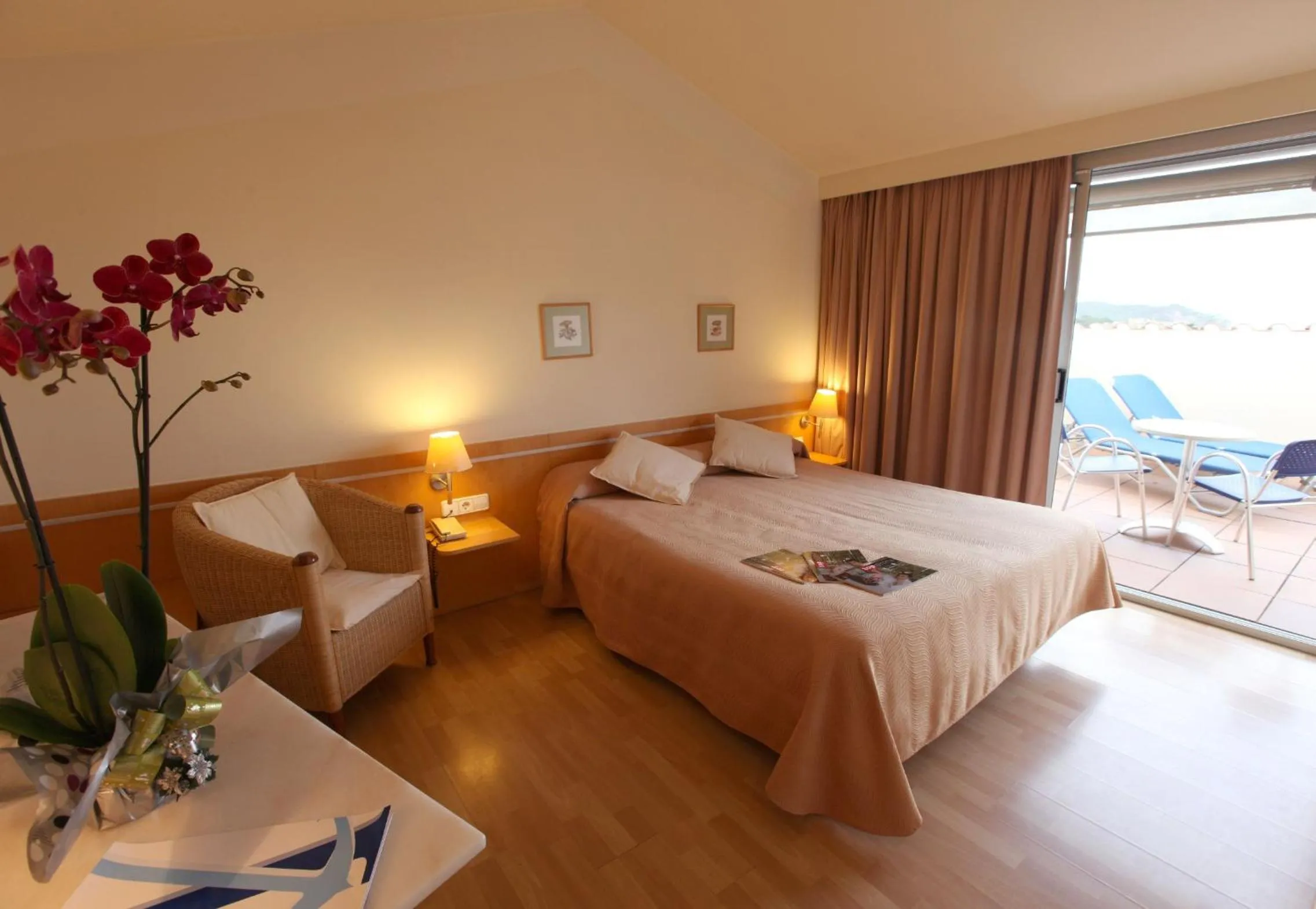 Superior Double Room with Terrace in Hotel Ancora