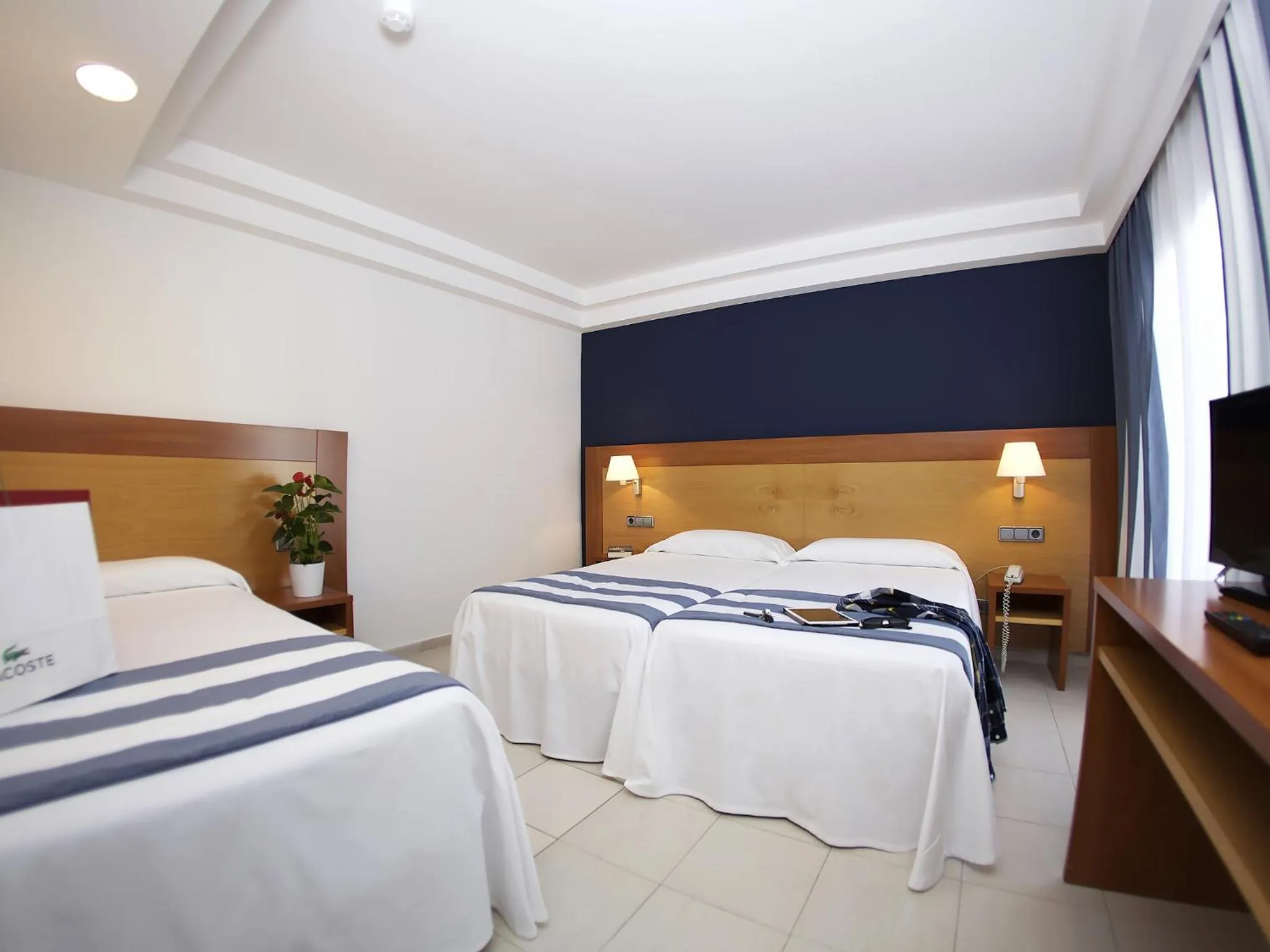 Basic Triple Room (3 Adults) Without Balcony  in Hotel Els Pins