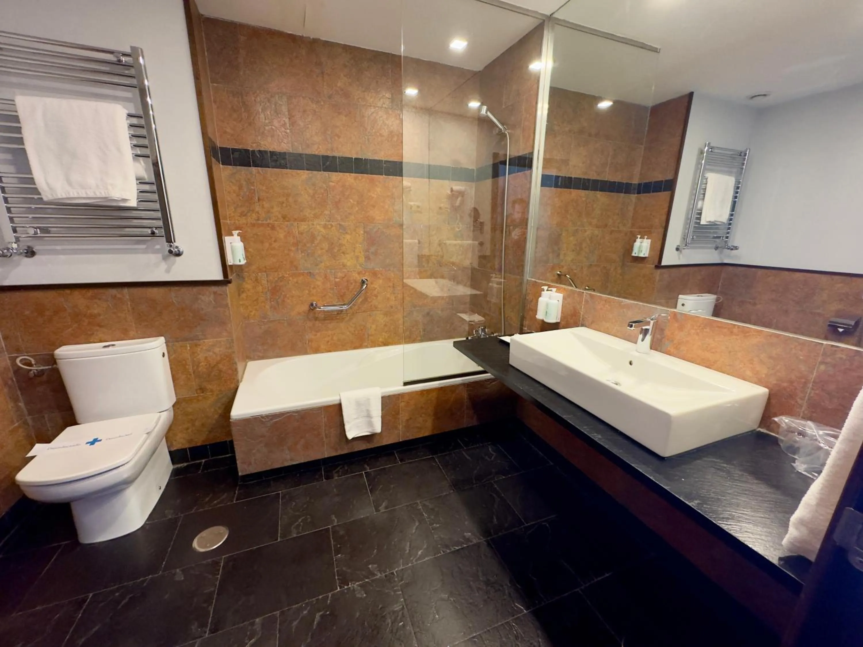 Double or Twin Room - Disability Access in Hotel Isla de La Garena