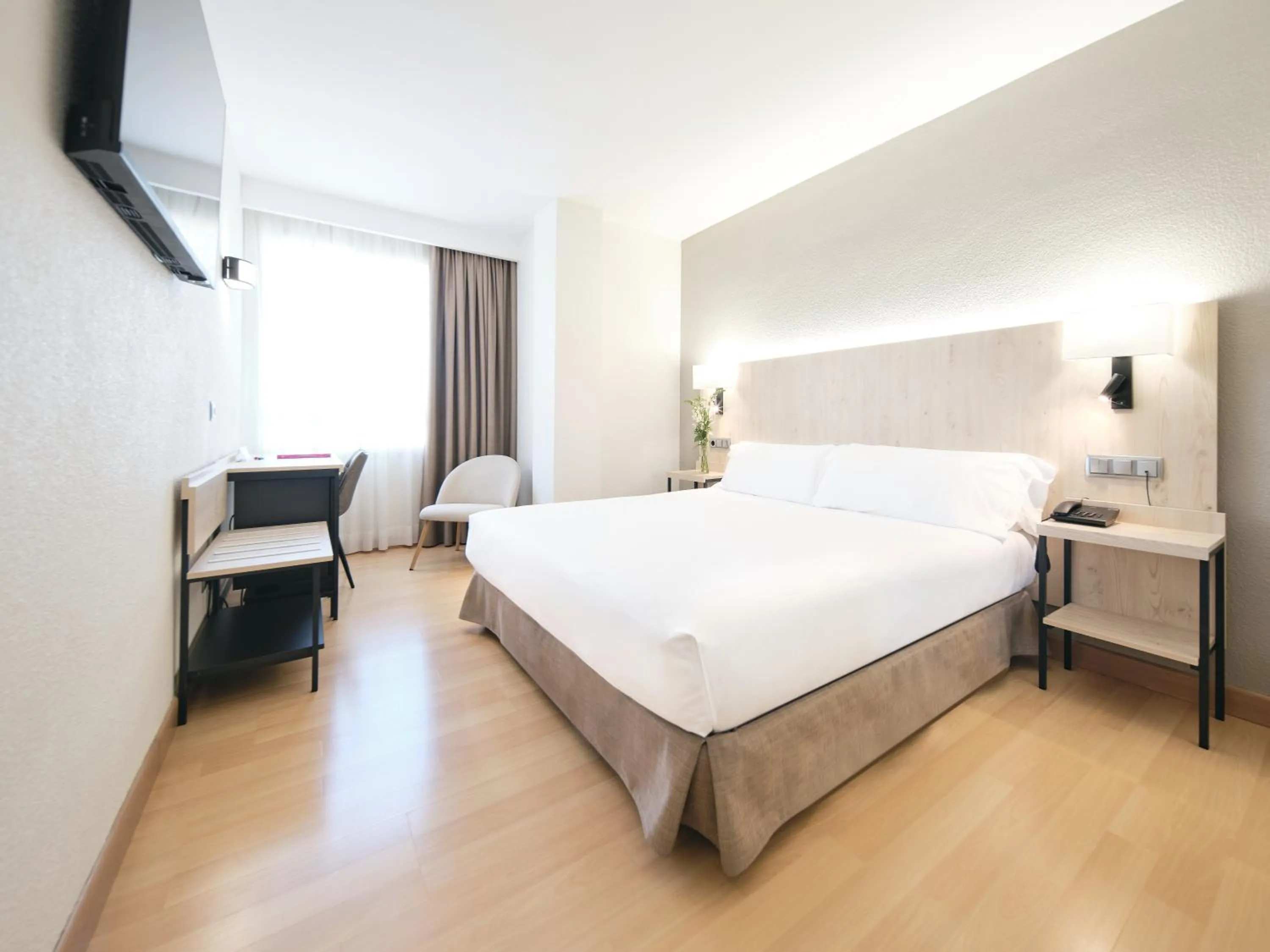 Double Room with 1 Double Bed in Hotel Albret