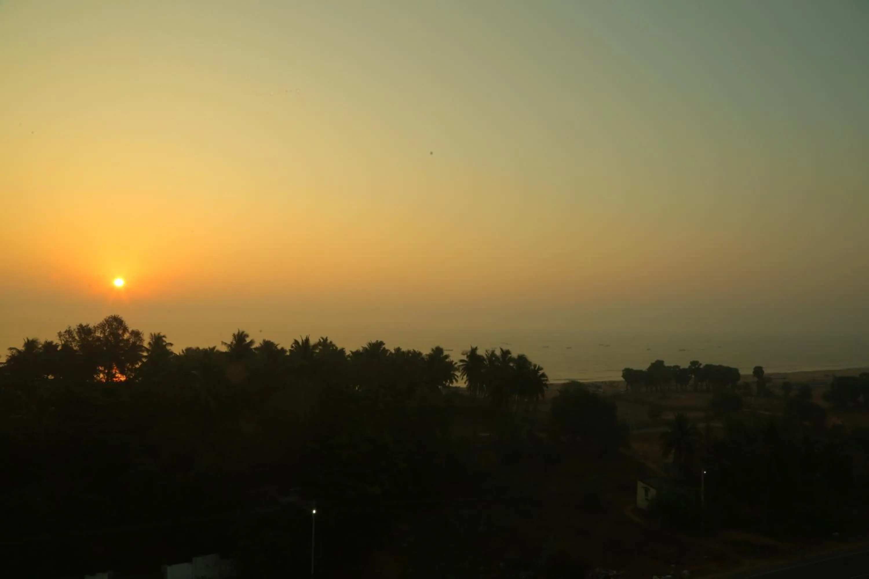 King Room with Sea View - single occupancy in Misty Ocean - A Bergamont Group of Hotel