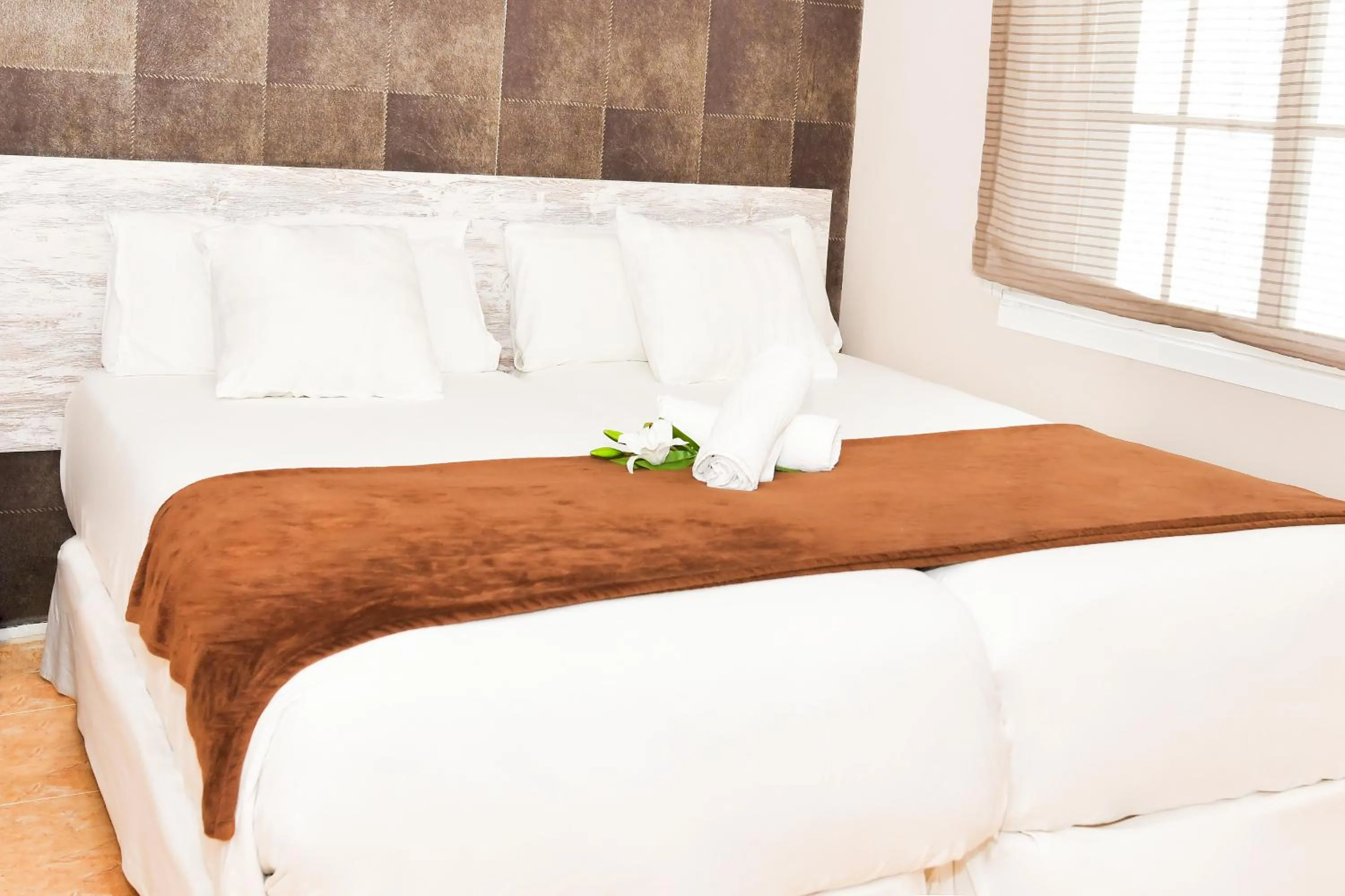 Standard Double Room in Hotel Ancora