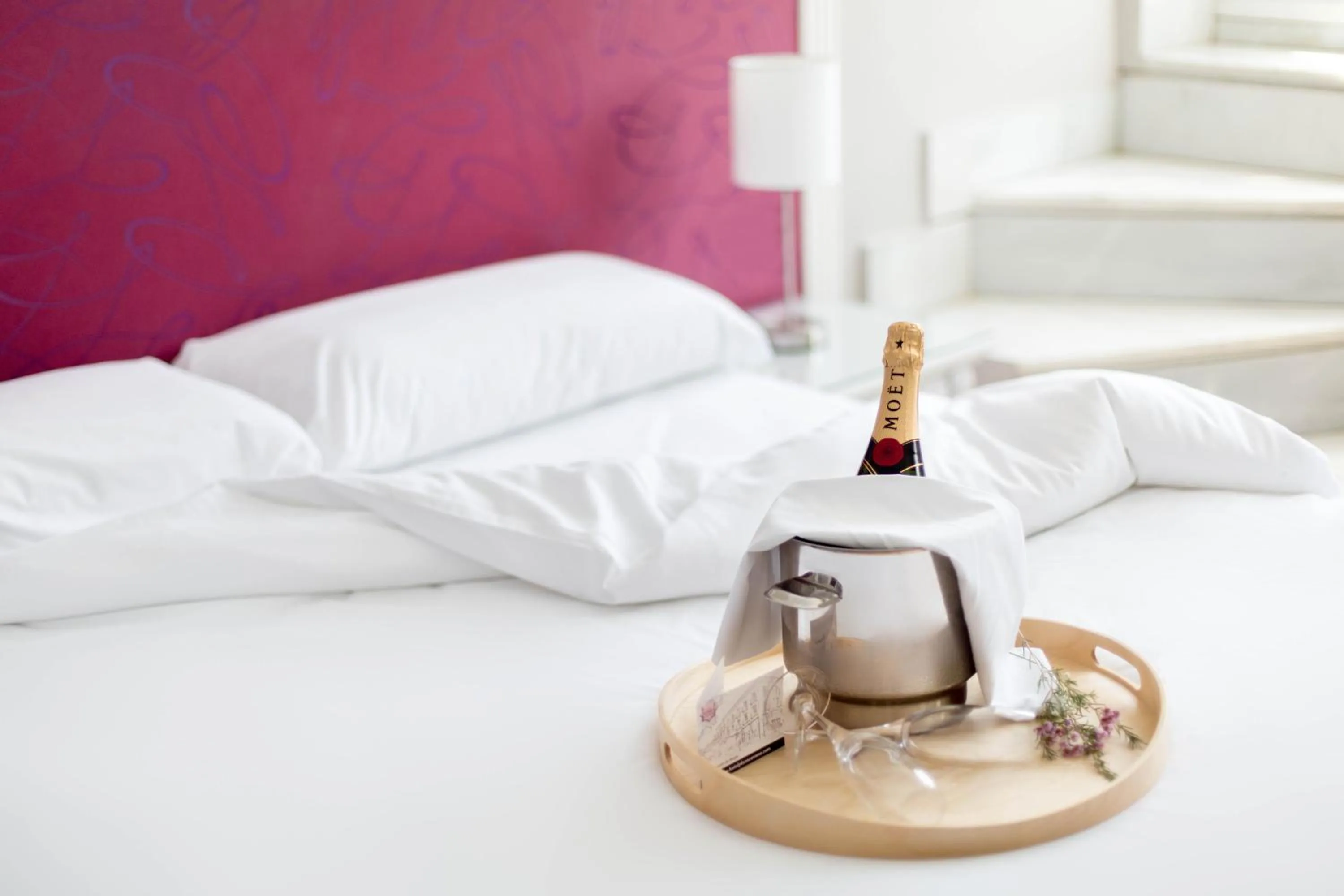 Double or Twin Room with Swimming Pool Access in Hotel Plaza Cavana