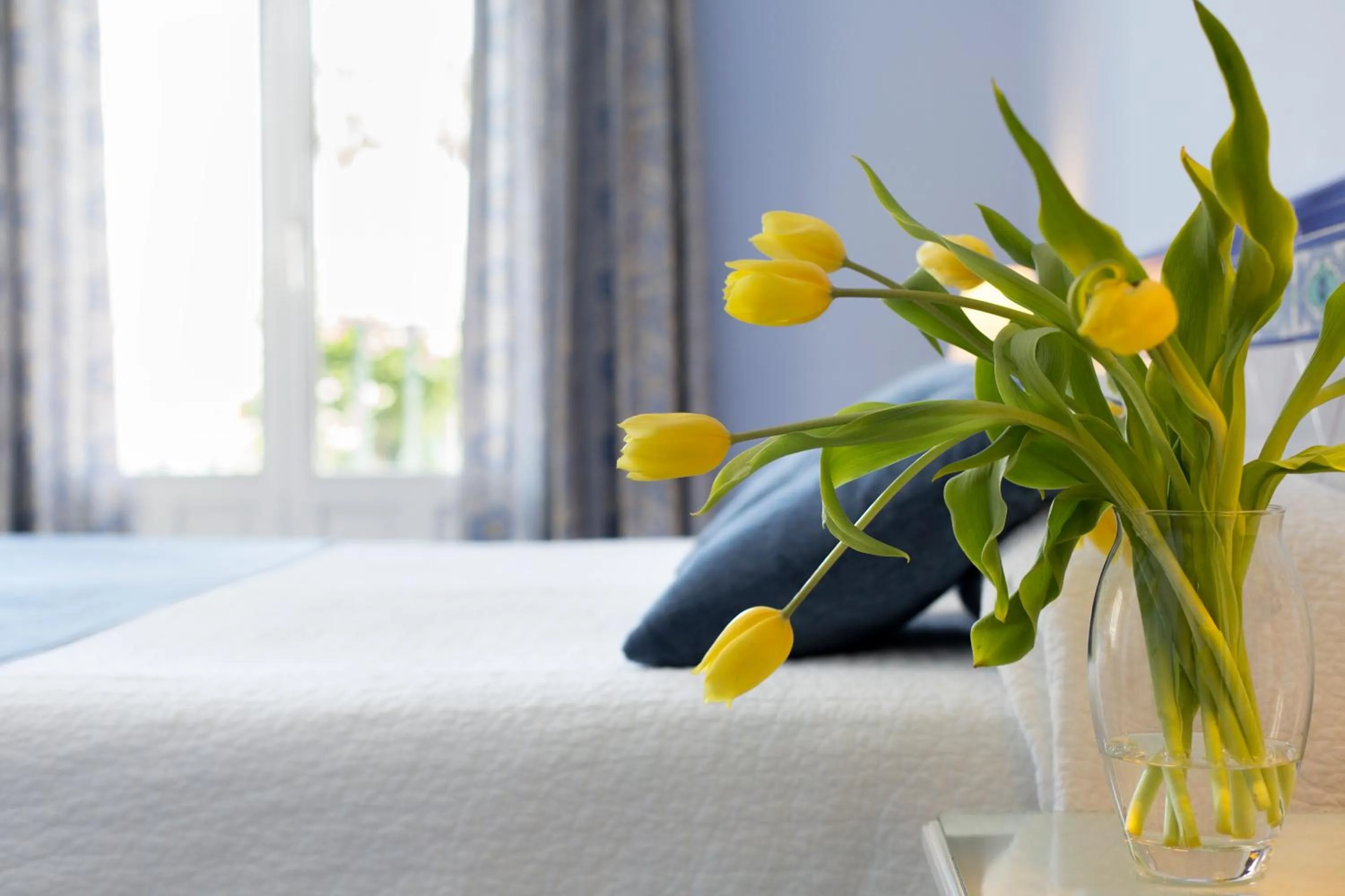 Comfort Double or Twin Room in Hotel Plaza Cavana