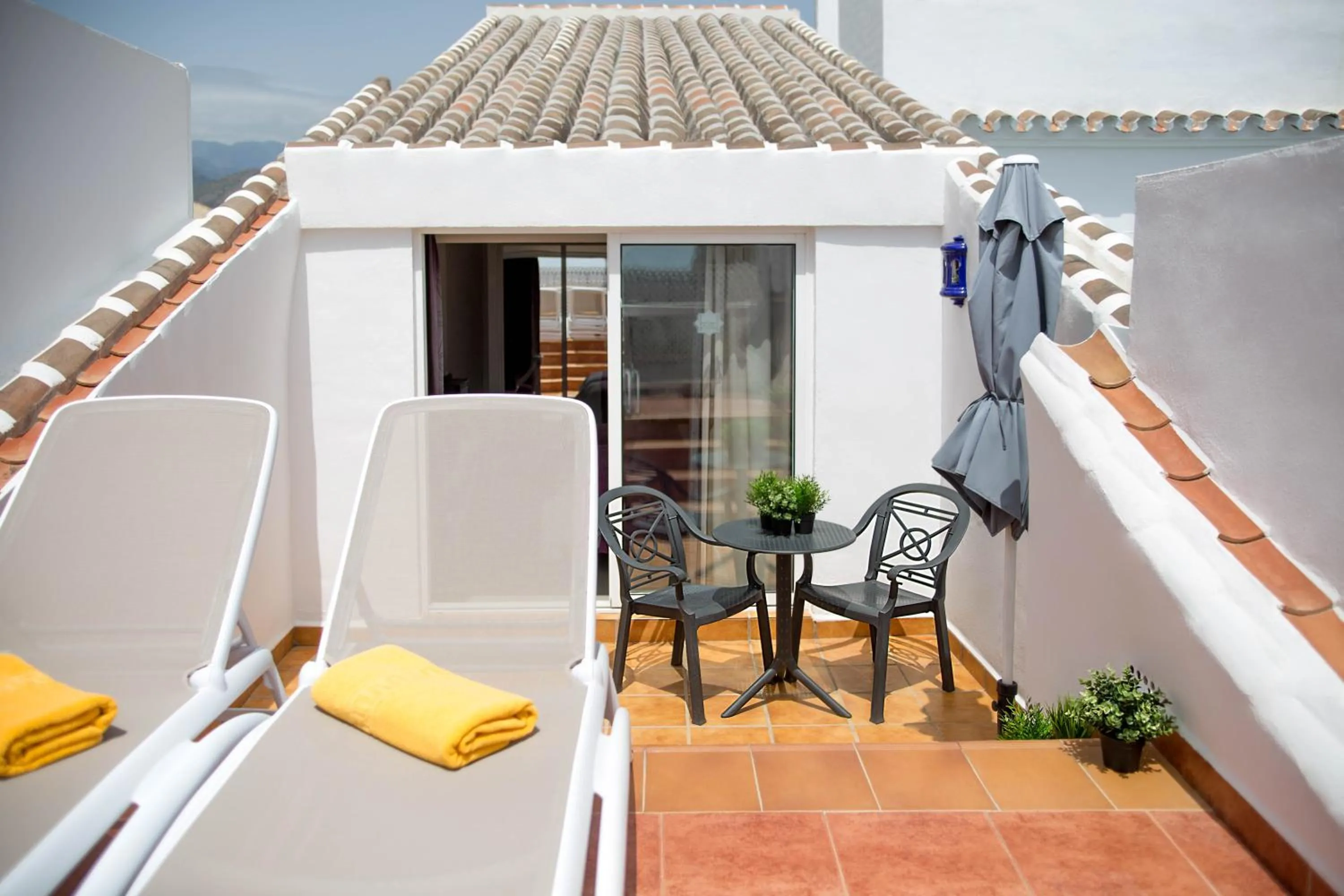 Double or Twin Room with Terrace in Hotel Plaza Cavana