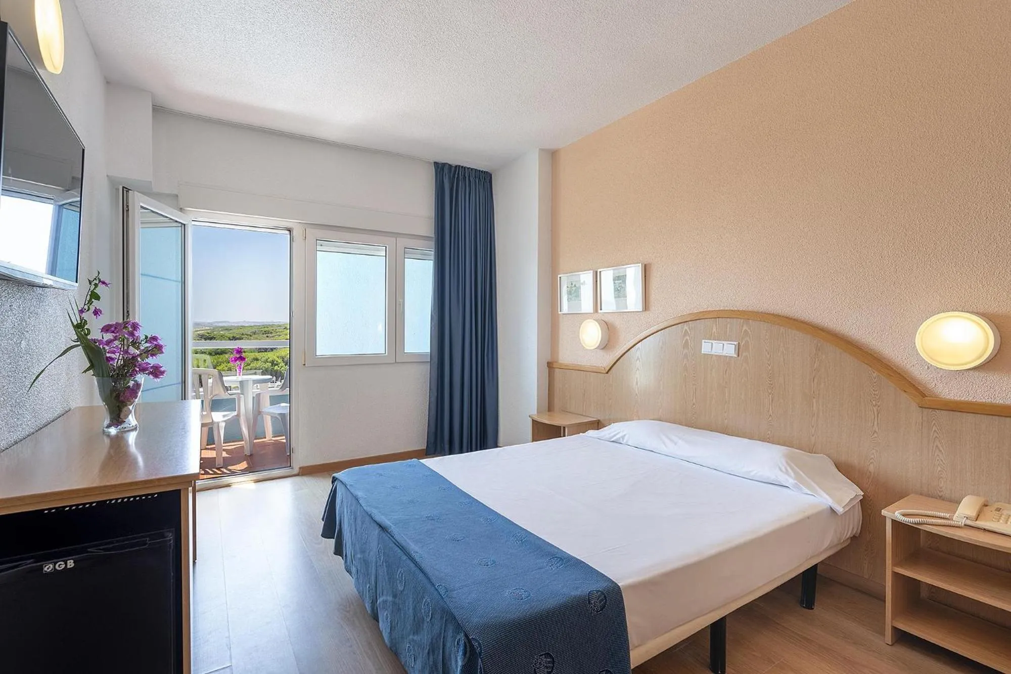 Single Room in Hotel Playas de Guardamar