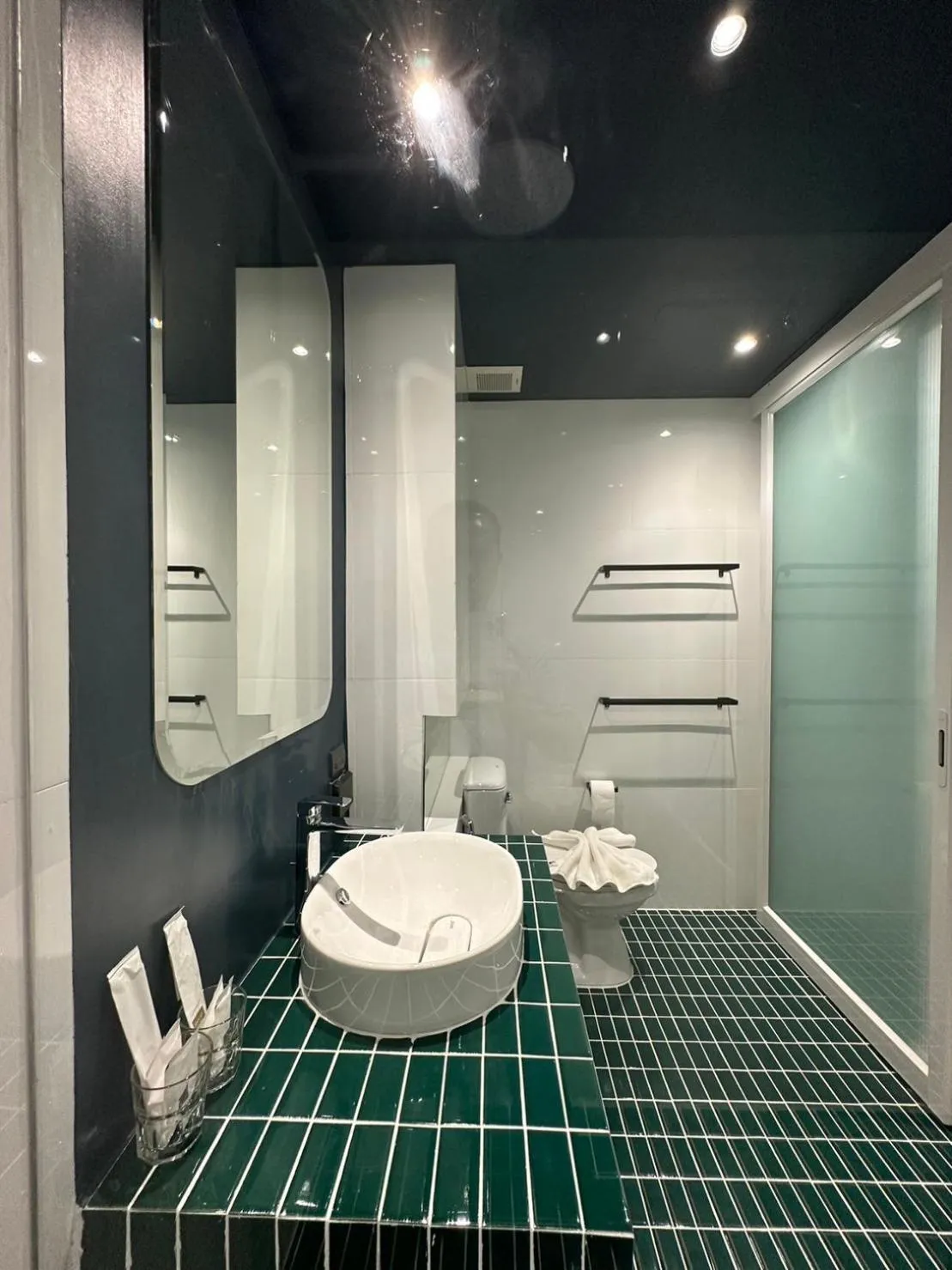 Standard Single Room in Hotel Sapin