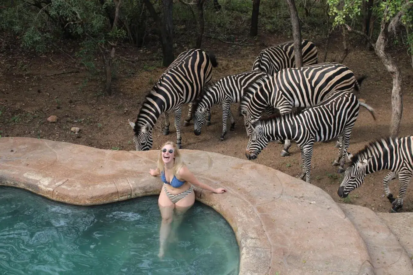 Kruger Park Hostel Kruger Park Hostel